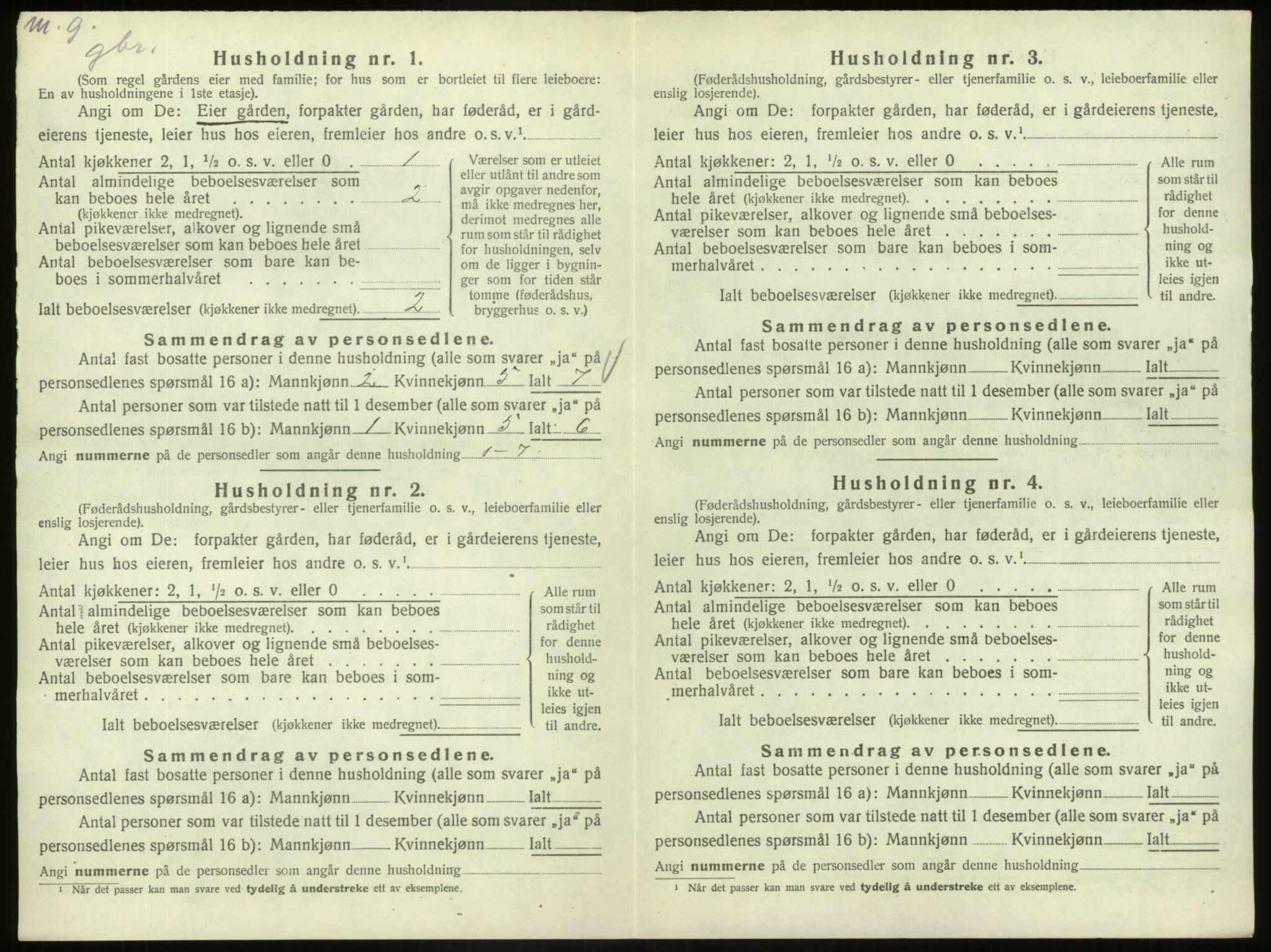 SAB, Folketelling 1920 for 1425 Hafslo herred, 1920, s. 196