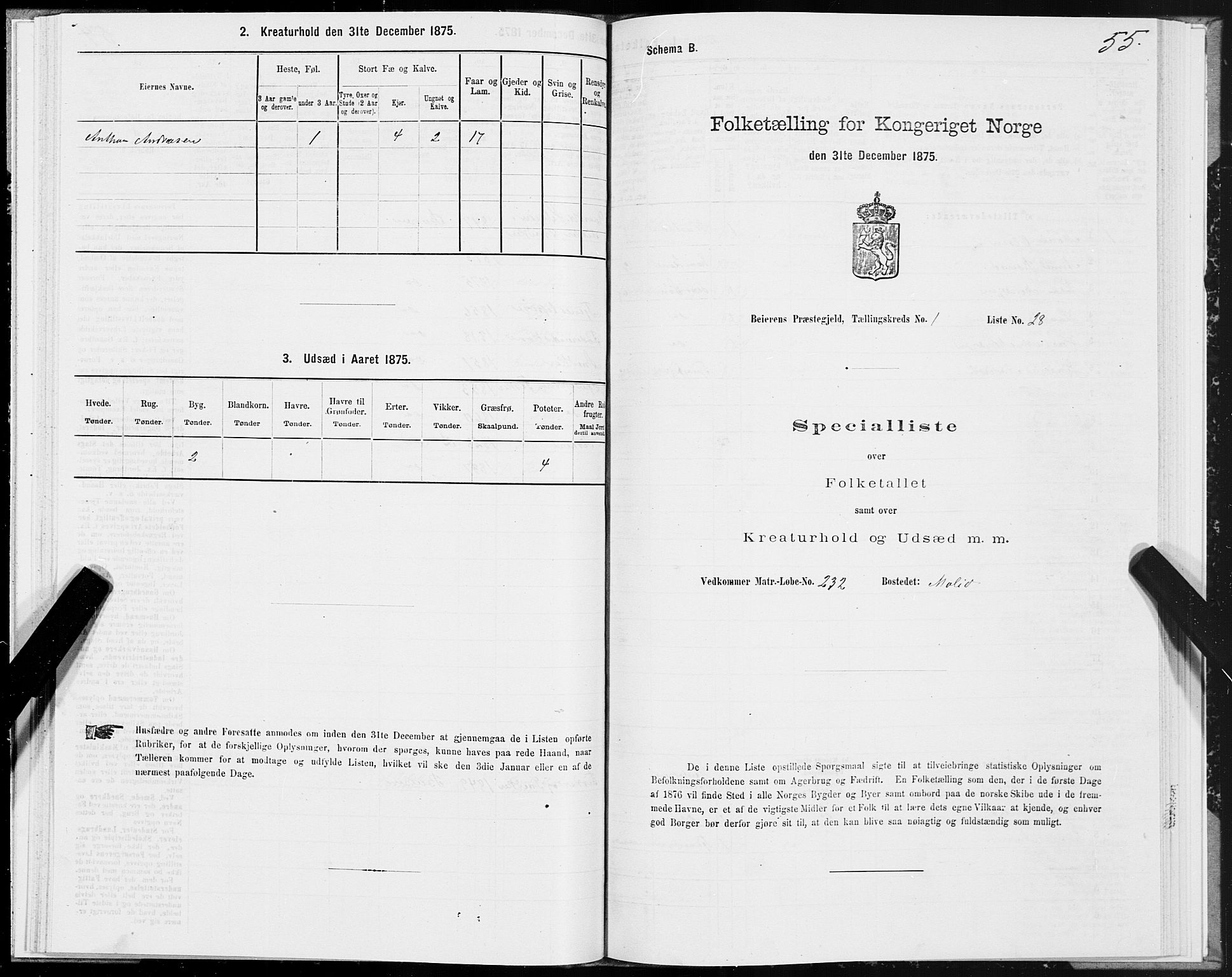 SAT, Folketelling 1875 for 1839P Beiarn prestegjeld, 1875, s. 1055