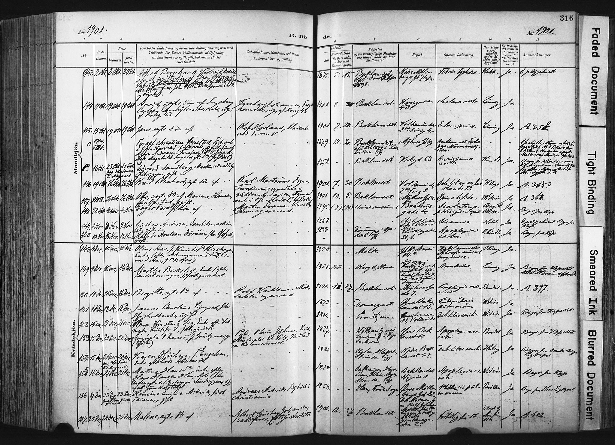 Ministerialprotokoller, klokkerbøker og fødselsregistre - Sør-Trøndelag, SAT/A-1456/604/L0201: Ministerialbok nr. 604A21, 1901-1911, s. 316