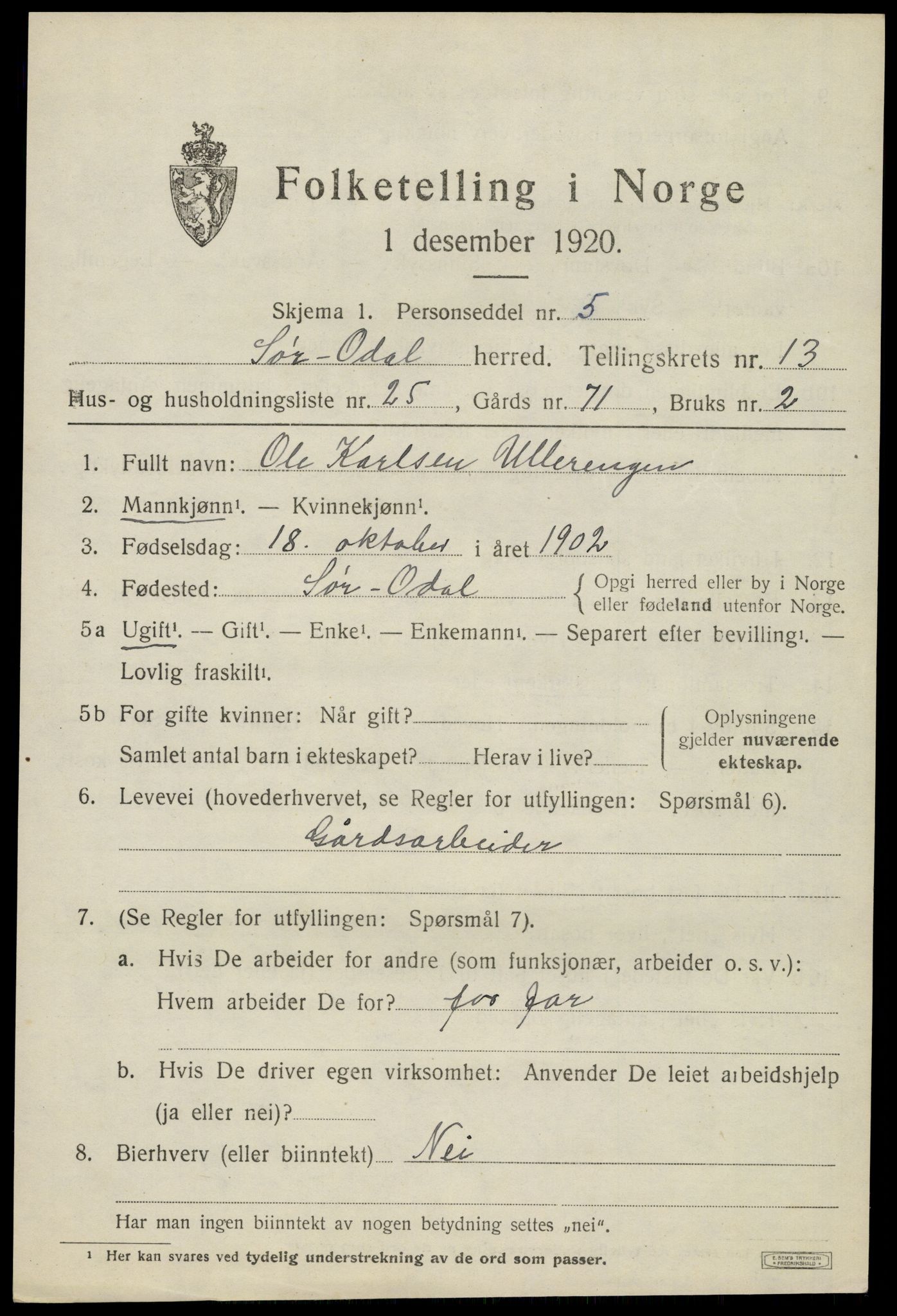 SAH, Folketelling 1920 for 0419 Sør-Odal herred, 1920, s. 13253