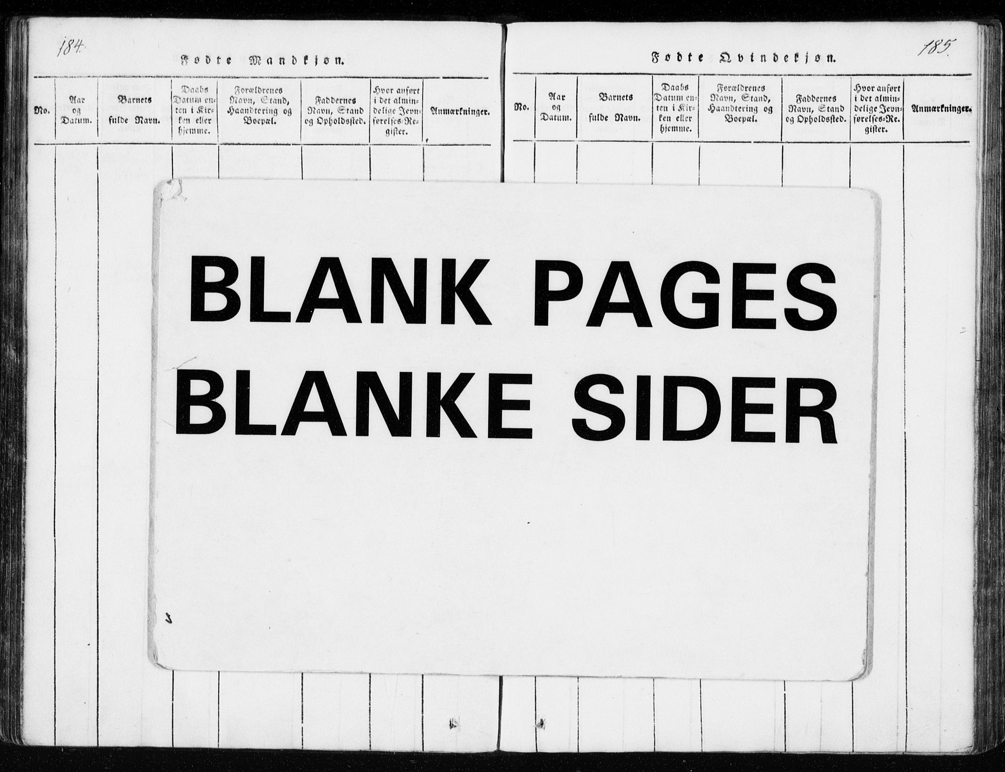 Ministerialprotokoller, klokkerbøker og fødselsregistre - Møre og Romsdal, AV/SAT-A-1454/551/L0623: Ministerialbok nr. 551A03, 1818-1831, s. 184-185