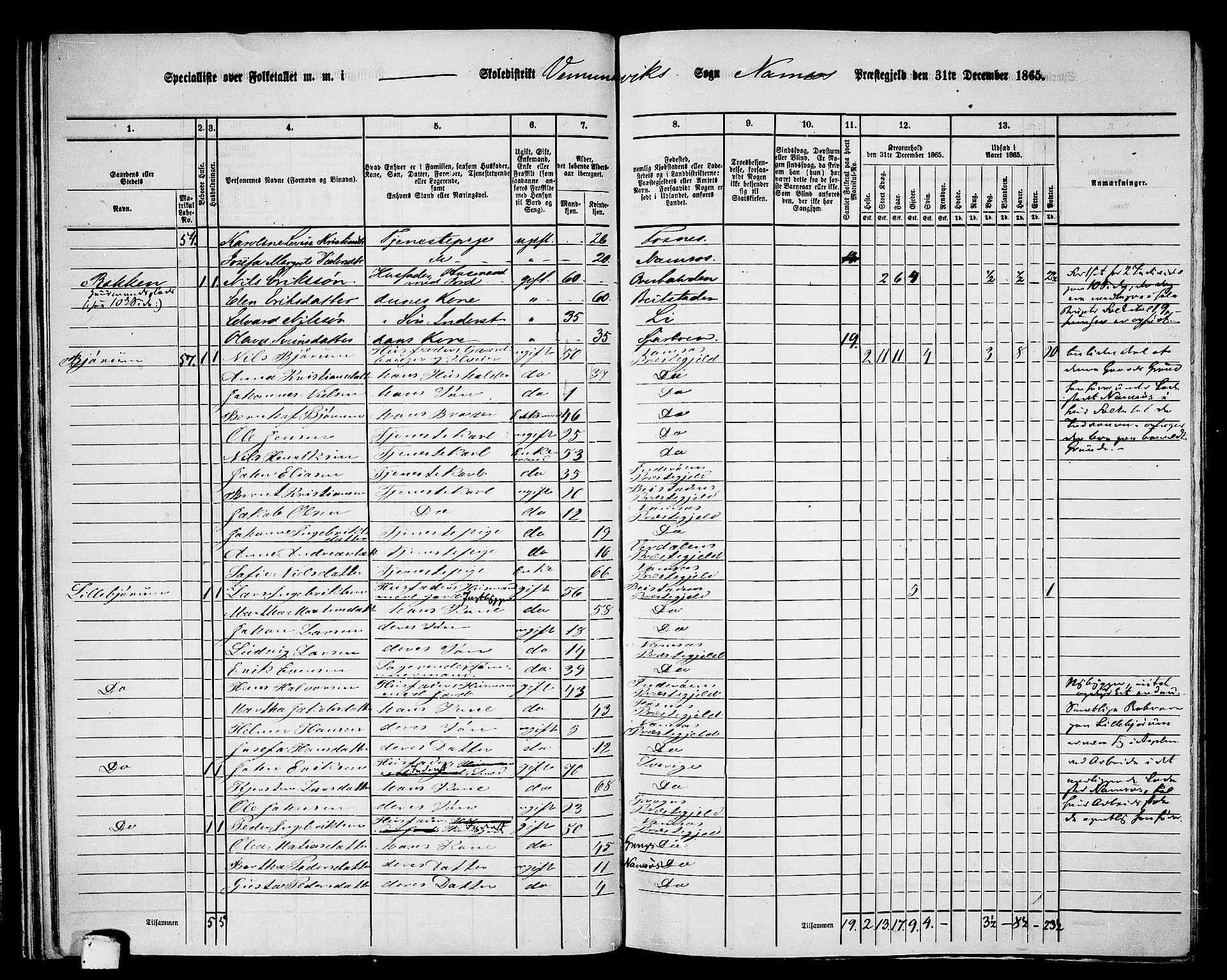 RA, Folketelling 1865 for 1745L Namsos prestegjeld, Vemundvik sokn og Sævik sokn, 1865, s. 38