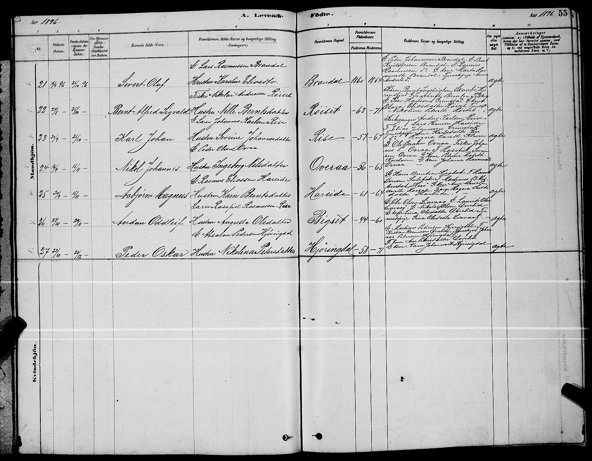 Ministerialprotokoller, klokkerbøker og fødselsregistre - Møre og Romsdal, AV/SAT-A-1454/510/L0125: Klokkerbok nr. 510C02, 1878-1900, s. 55