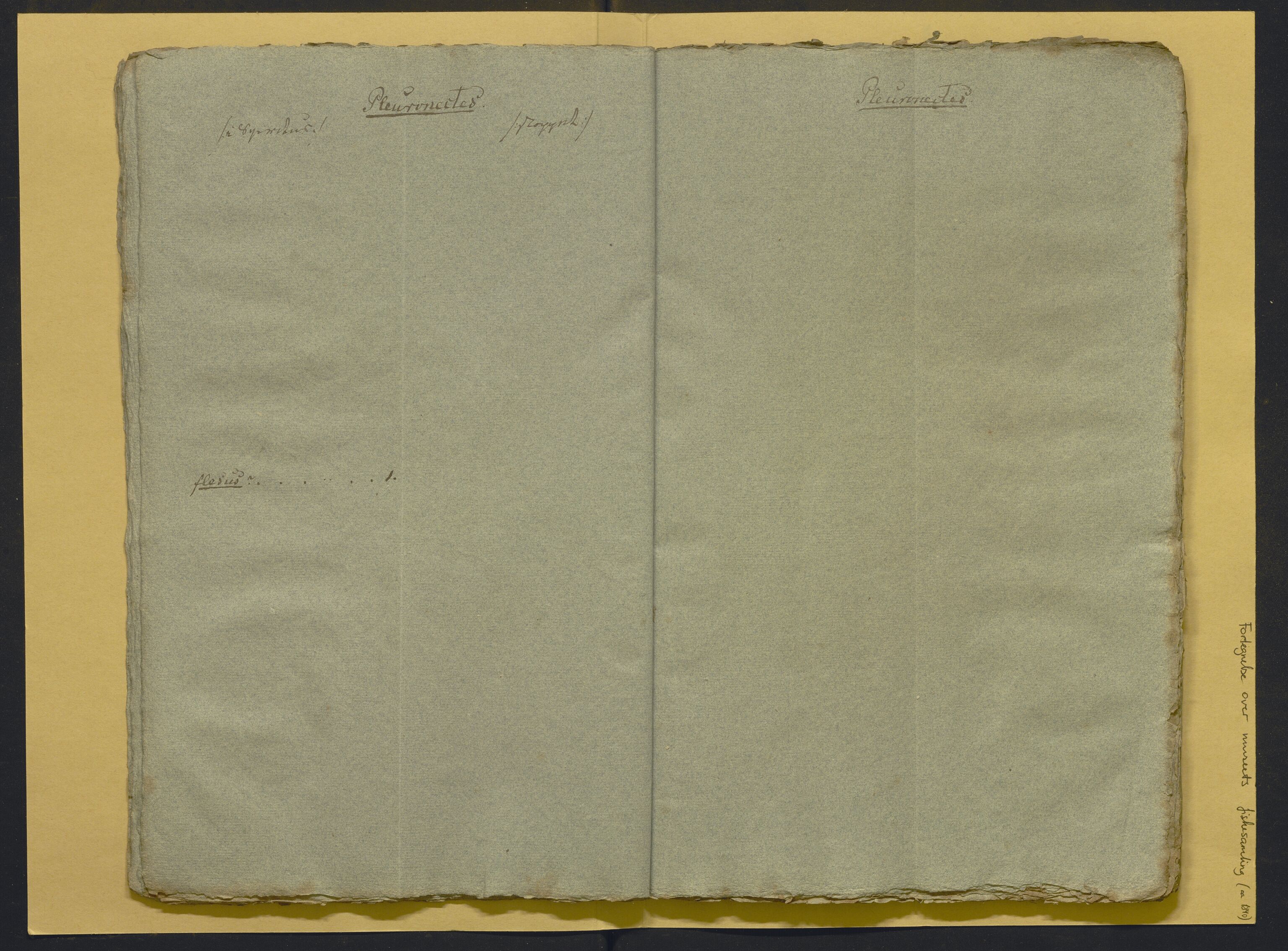 Bergens Museum, AV/SAB-A-17301/02/F/L0001: Kataloger over gjenstander og pergamentbrev , 1825-1880, s. 502