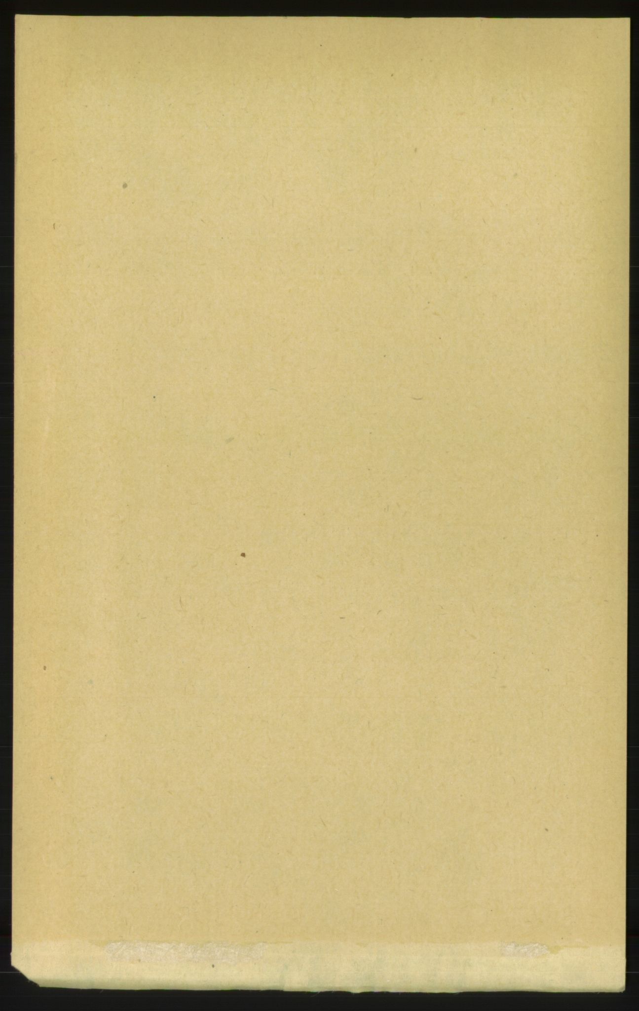 RA, Folketelling 1891 for 1559 Straumsnes herred, 1891, s. 458