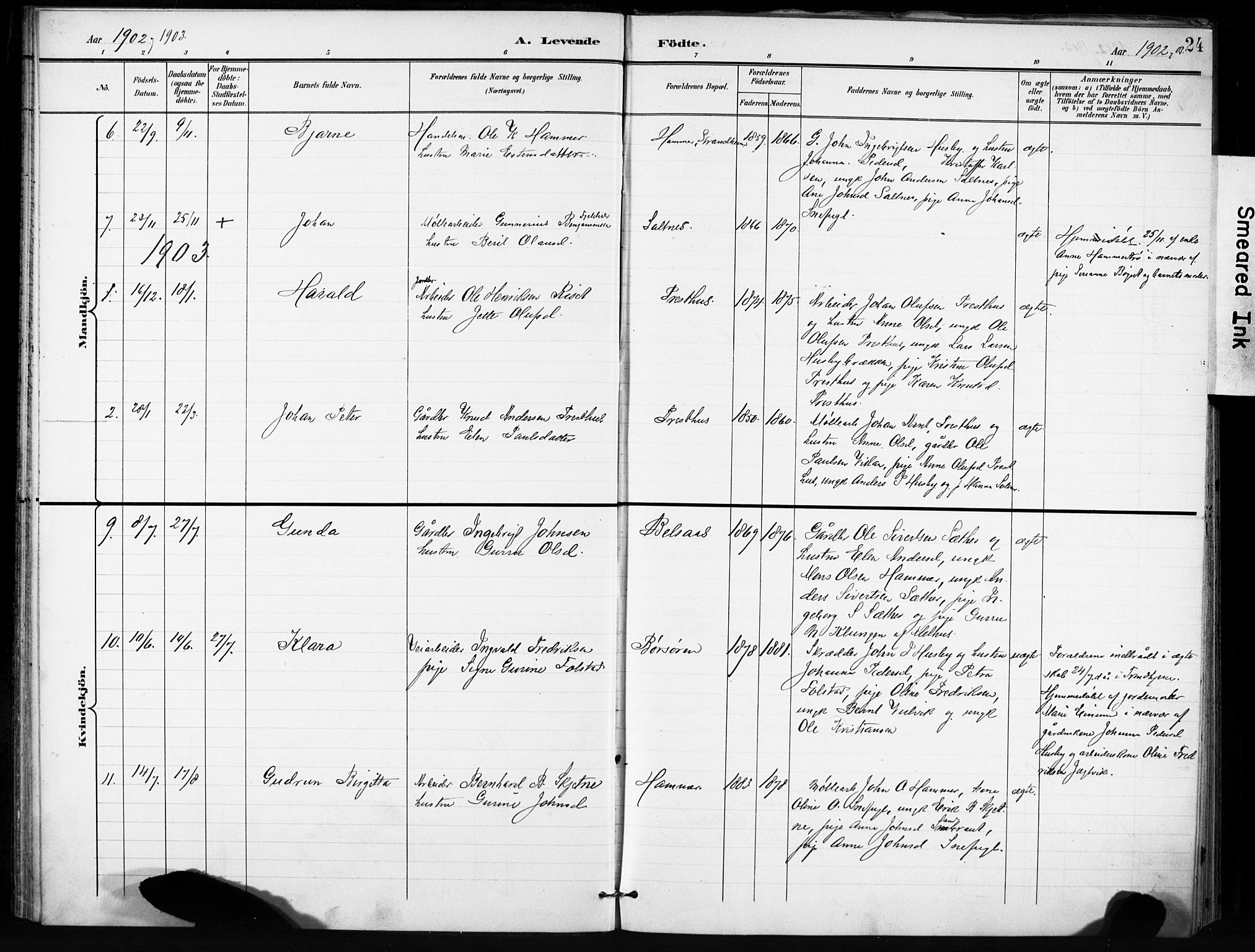 Ministerialprotokoller, klokkerbøker og fødselsregistre - Sør-Trøndelag, AV/SAT-A-1456/666/L0787: Ministerialbok nr. 666A05, 1895-1908, s. 24