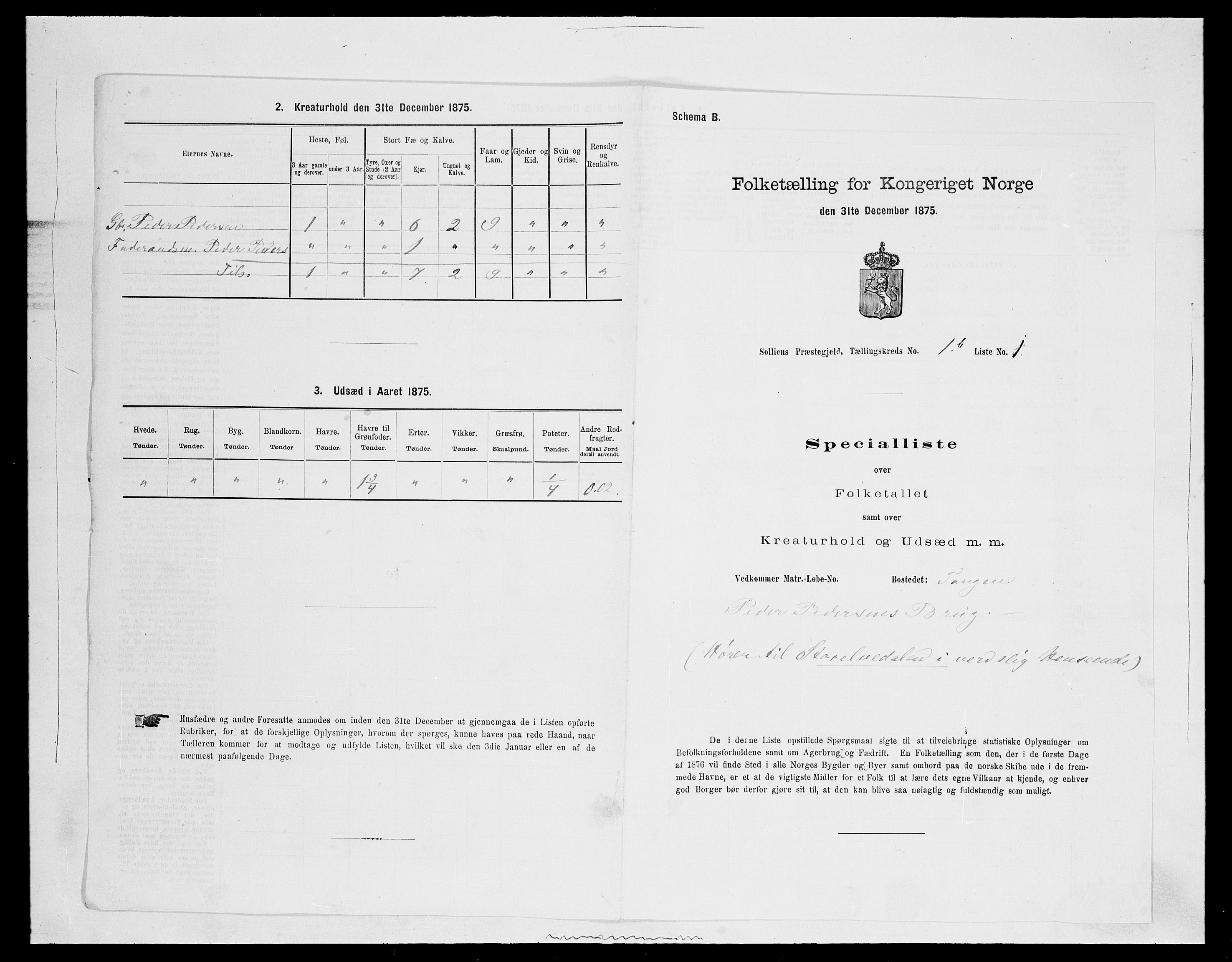 SAH, Folketelling 1875 for 0431P Sollia prestegjeld, 1875, s. 125