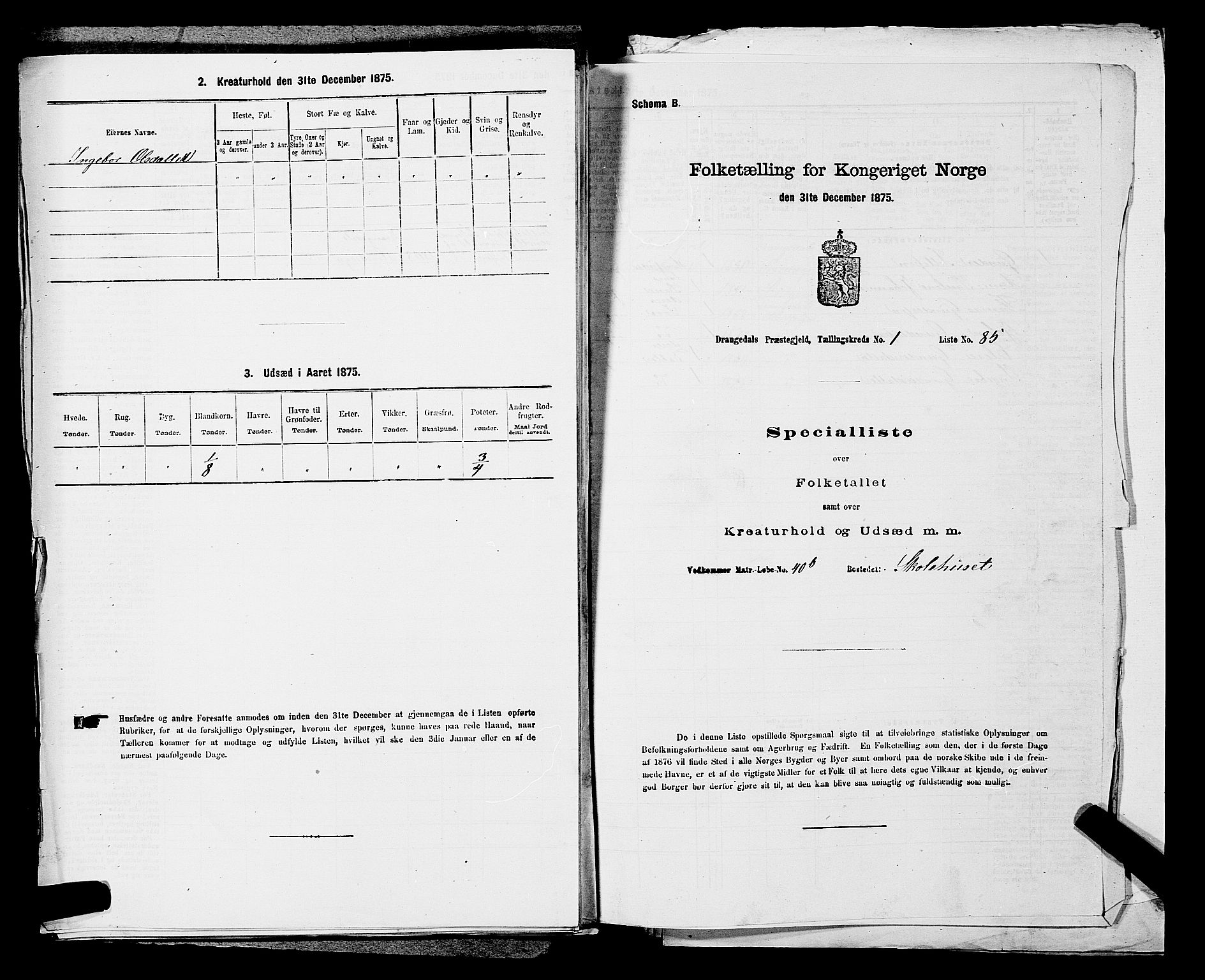 SAKO, Folketelling 1875 for 0817P Drangedal prestegjeld, 1875, s. 228