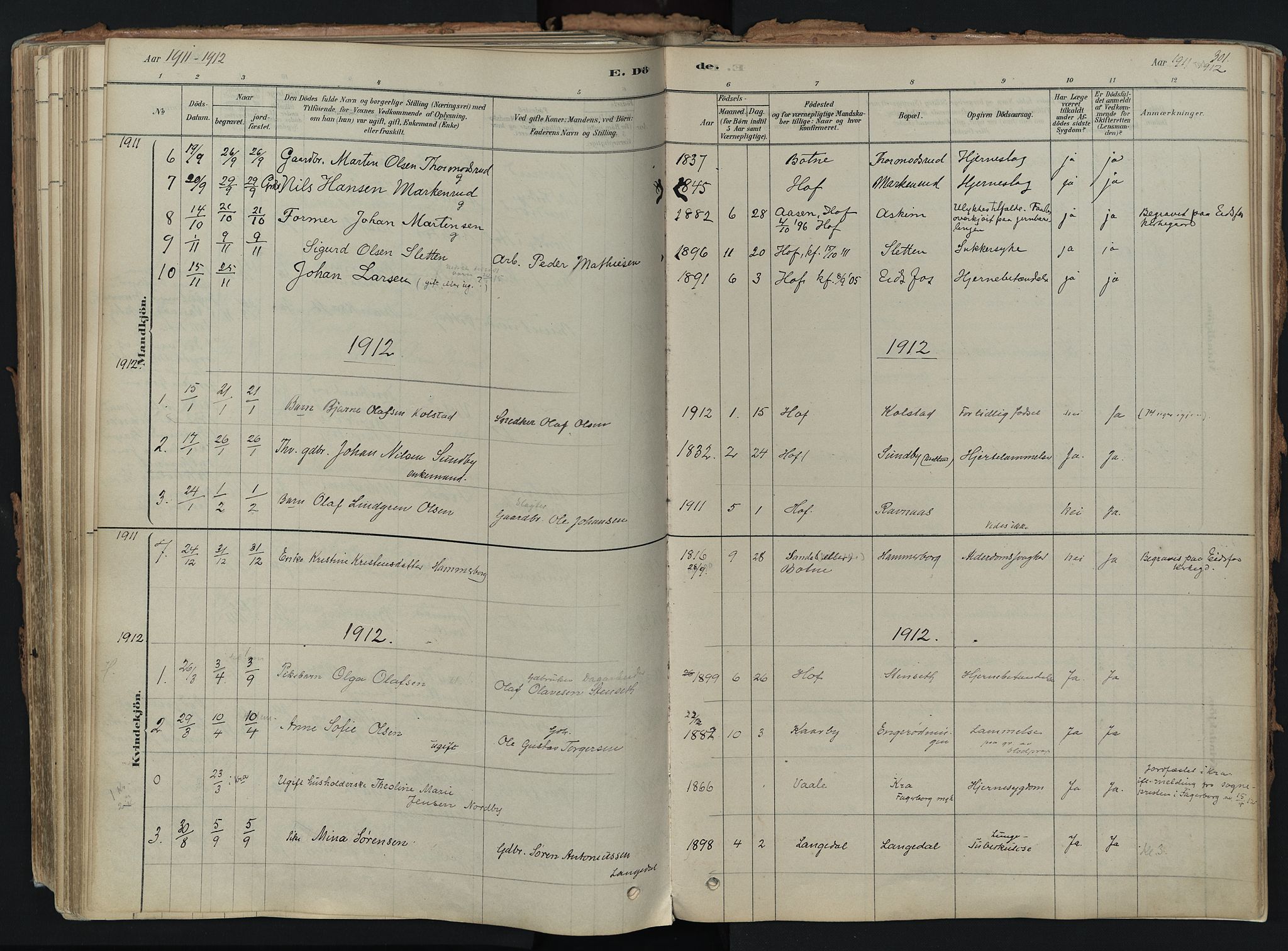 Hof kirkebøker, AV/SAKO-A-64/F/Fa/L0007: Ministerialbok nr. I 7, 1878-1940, s. 301