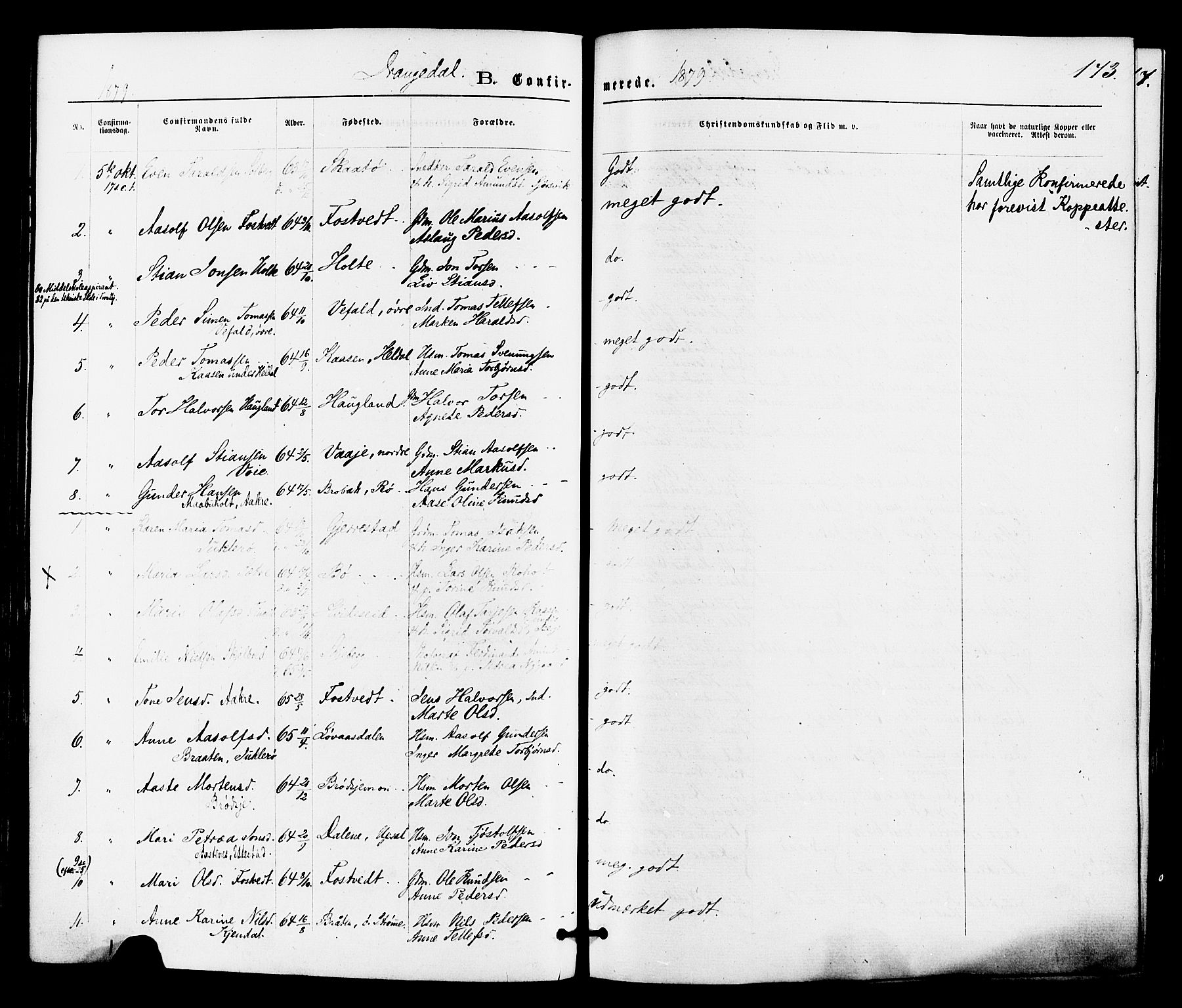 Drangedal kirkebøker, AV/SAKO-A-258/F/Fa/L0009: Ministerialbok nr. 9 /1, 1872-1884, s. 173
