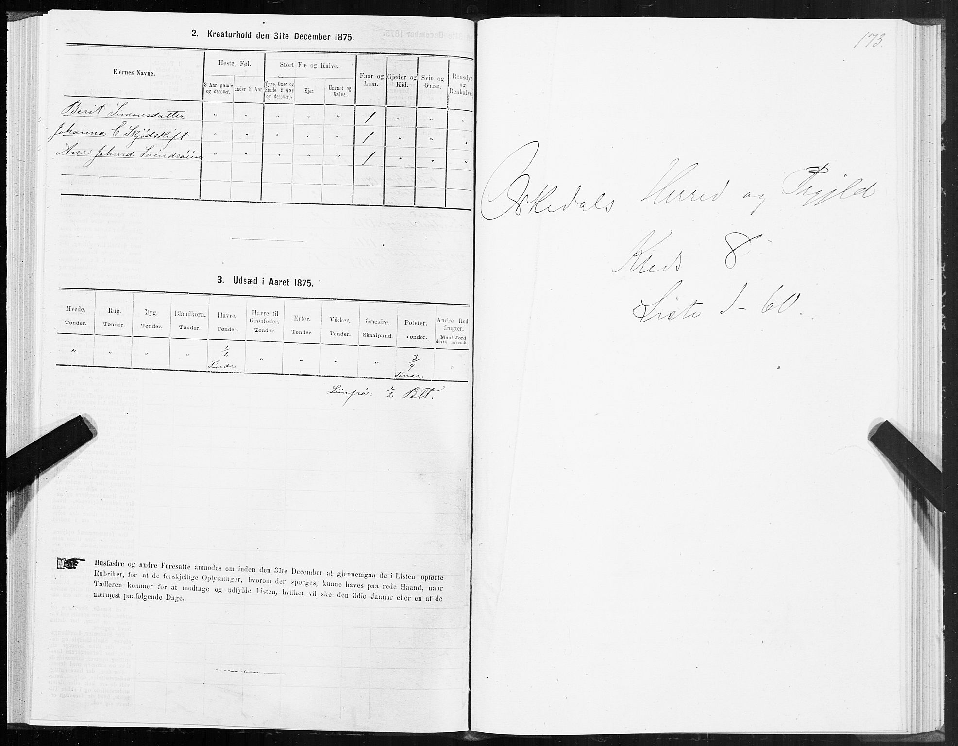 SAT, Folketelling 1875 for 1638P Orkdal prestegjeld, 1875, s. 4173