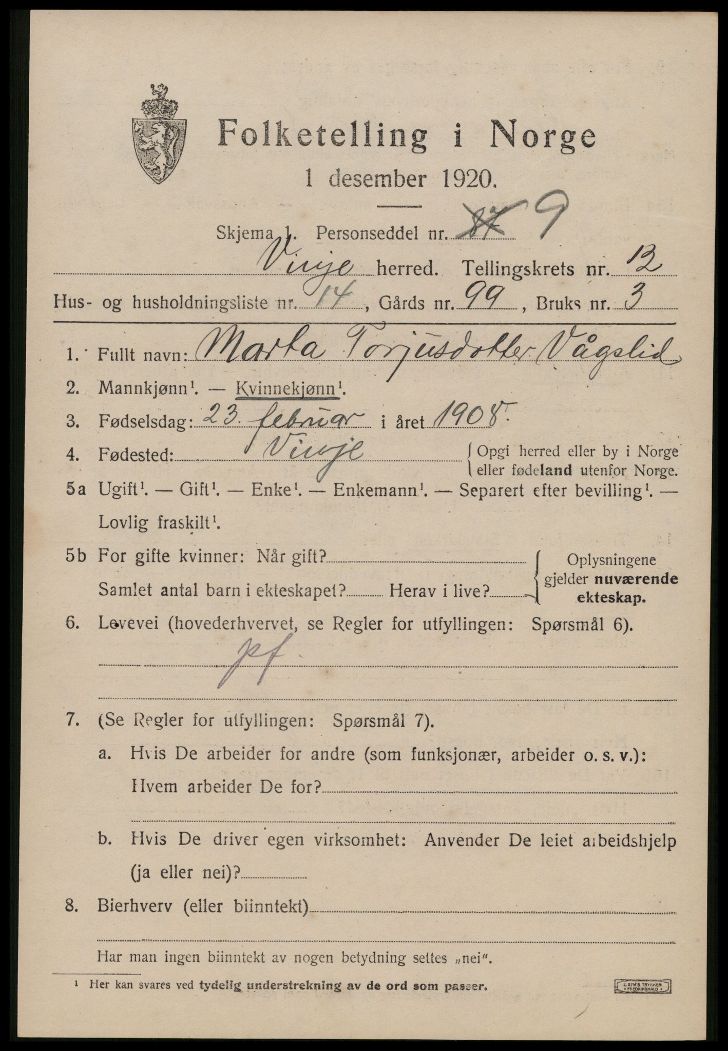SAKO, Folketelling 1920 for 0834 Vinje herred, 1920, s. 4059