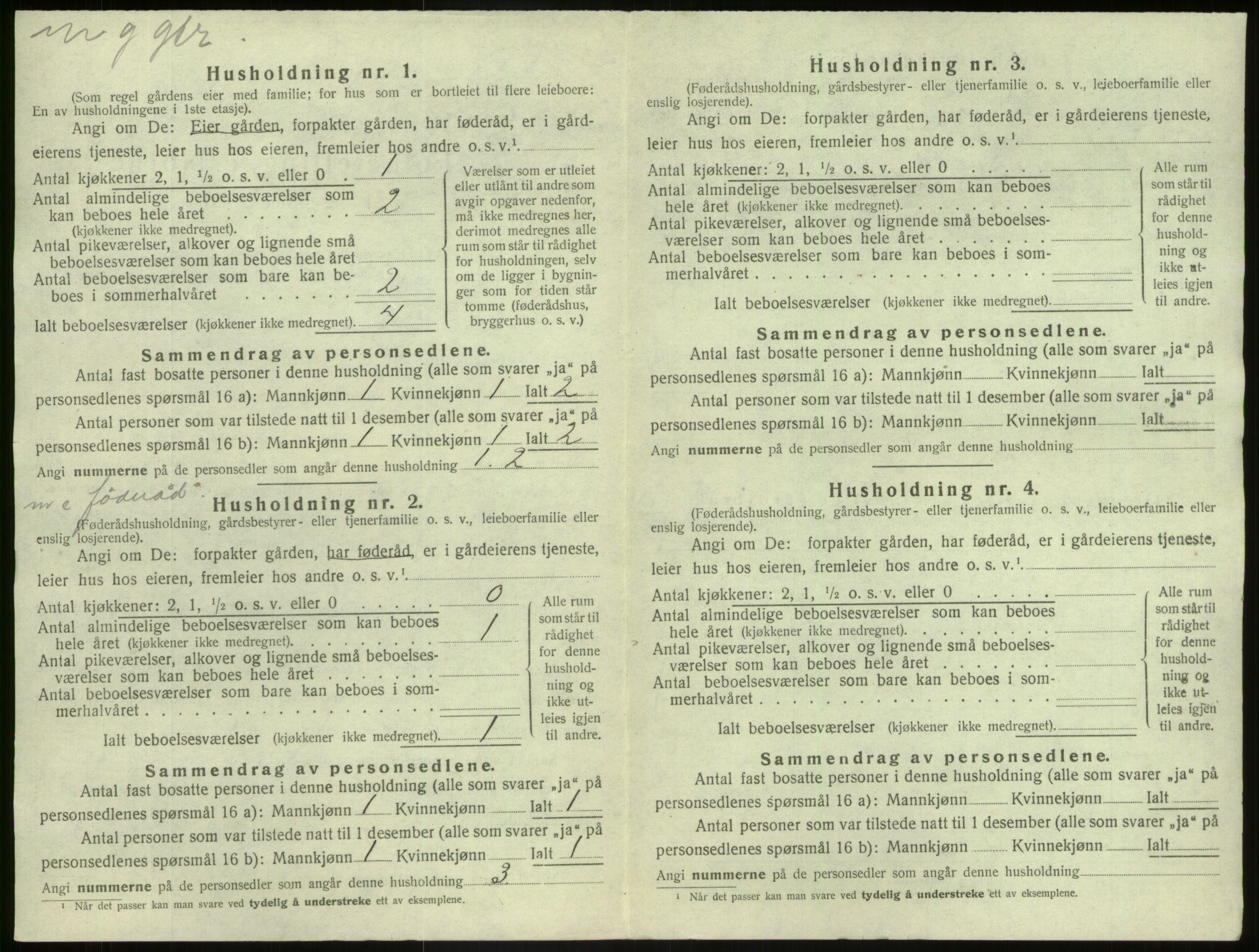 SAB, Folketelling 1920 for 1426 Luster herred, 1920, s. 55