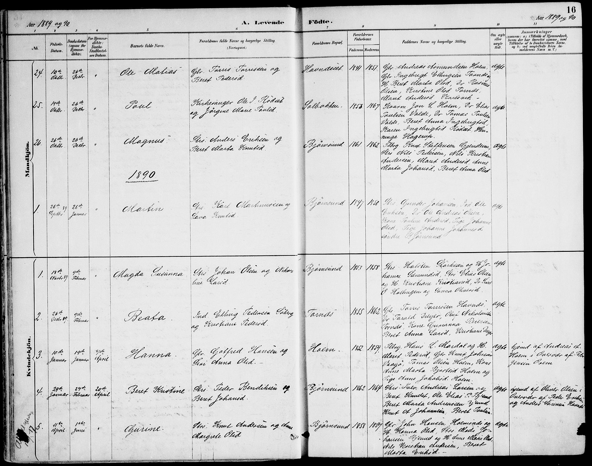Ministerialprotokoller, klokkerbøker og fødselsregistre - Møre og Romsdal, SAT/A-1454/565/L0750: Ministerialbok nr. 565A04, 1887-1905, s. 16