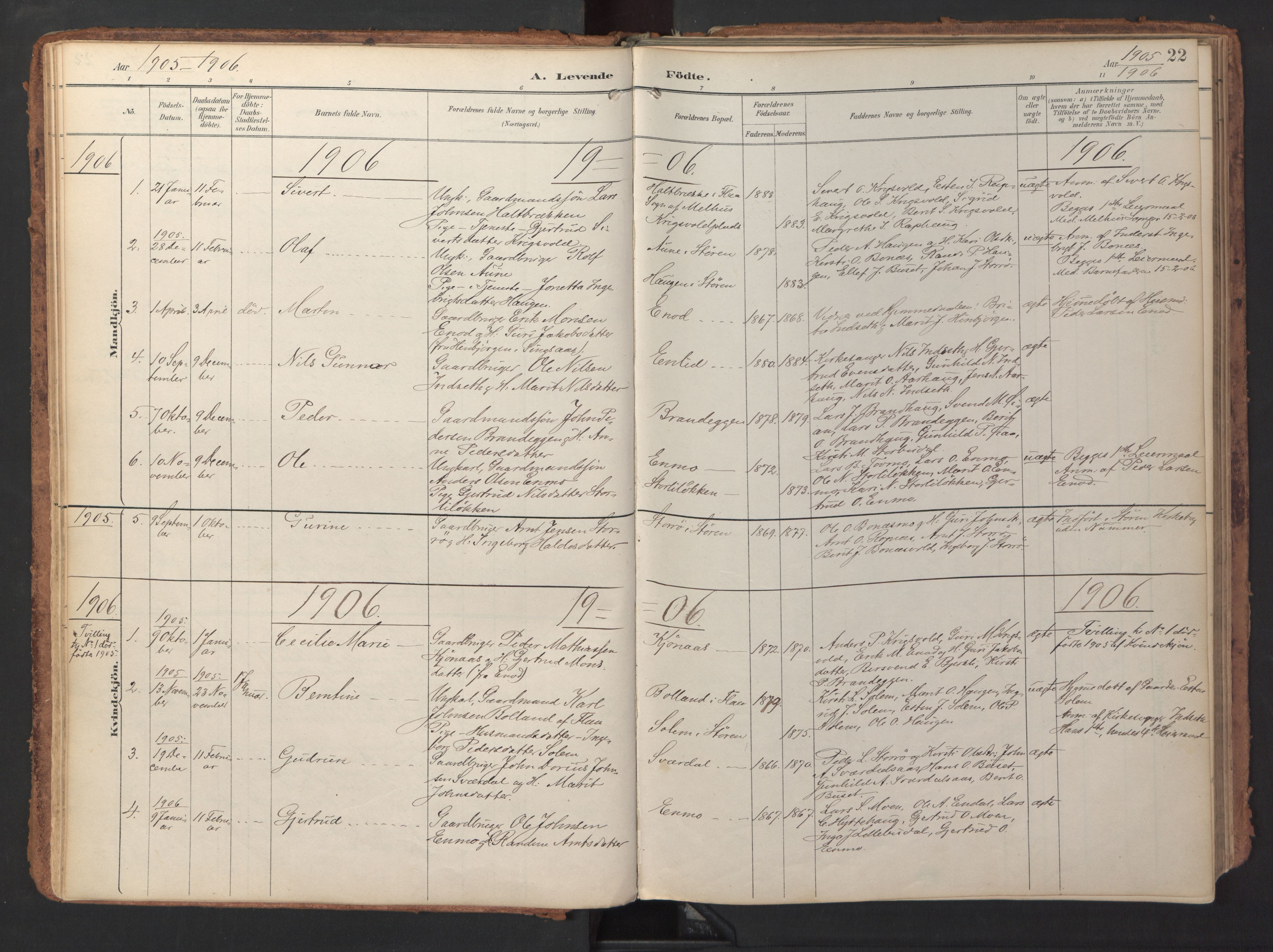 Ministerialprotokoller, klokkerbøker og fødselsregistre - Sør-Trøndelag, AV/SAT-A-1456/690/L1050: Ministerialbok nr. 690A01, 1889-1929, s. 22