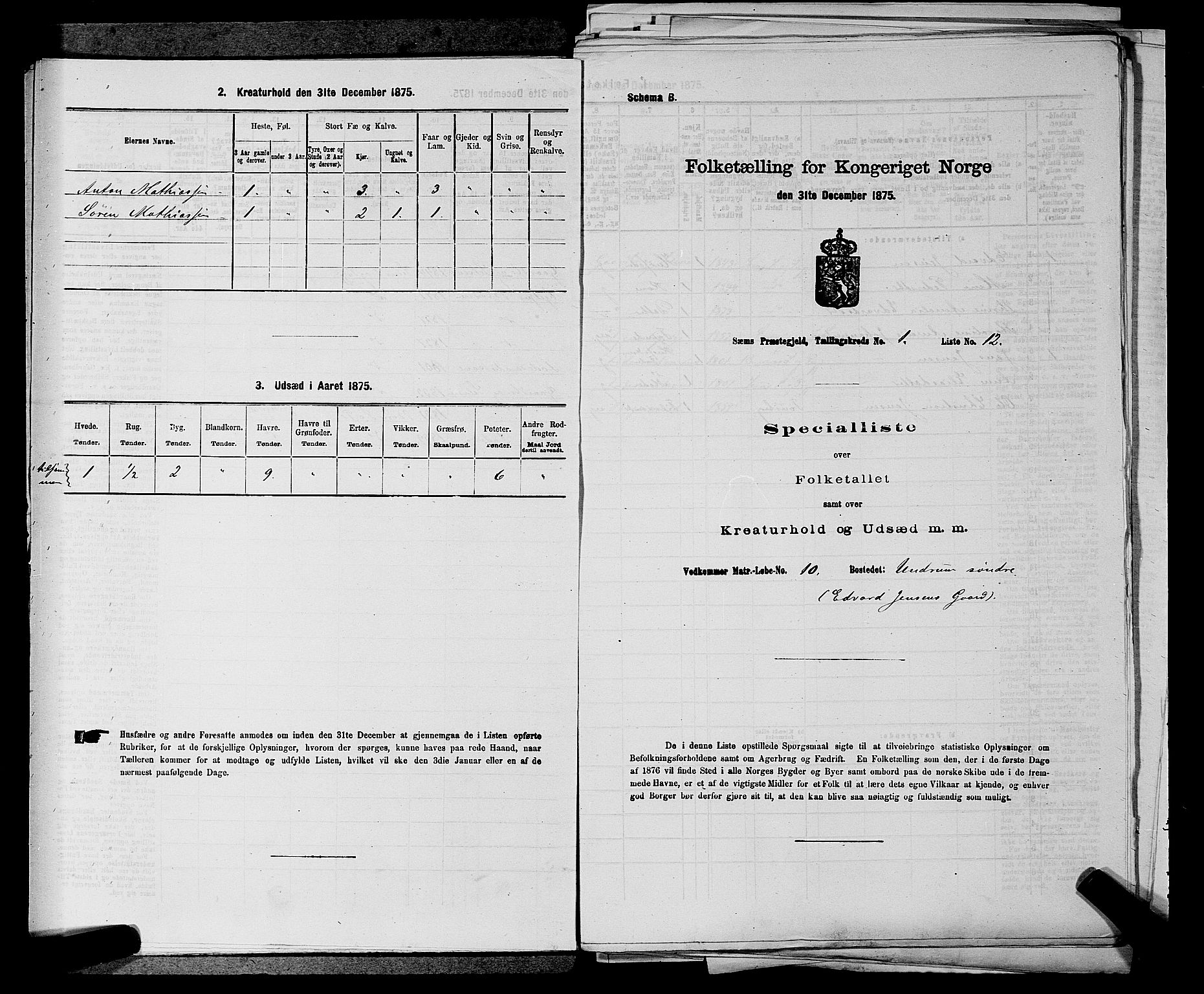 SAKO, Folketelling 1875 for 0721P Sem prestegjeld, 1875, s. 101