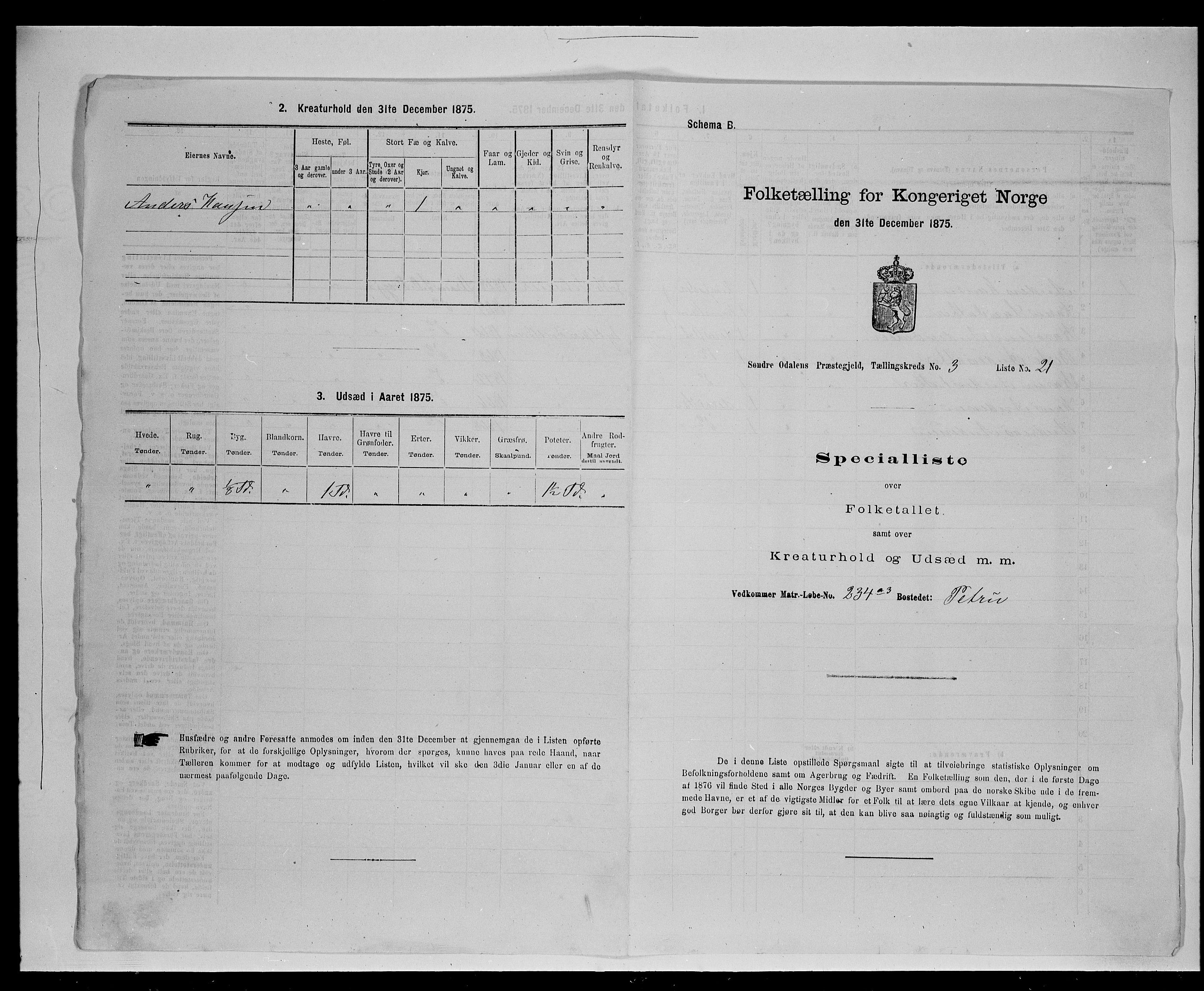 SAH, Folketelling 1875 for 0419P Sør-Odal prestegjeld, 1875, s. 422