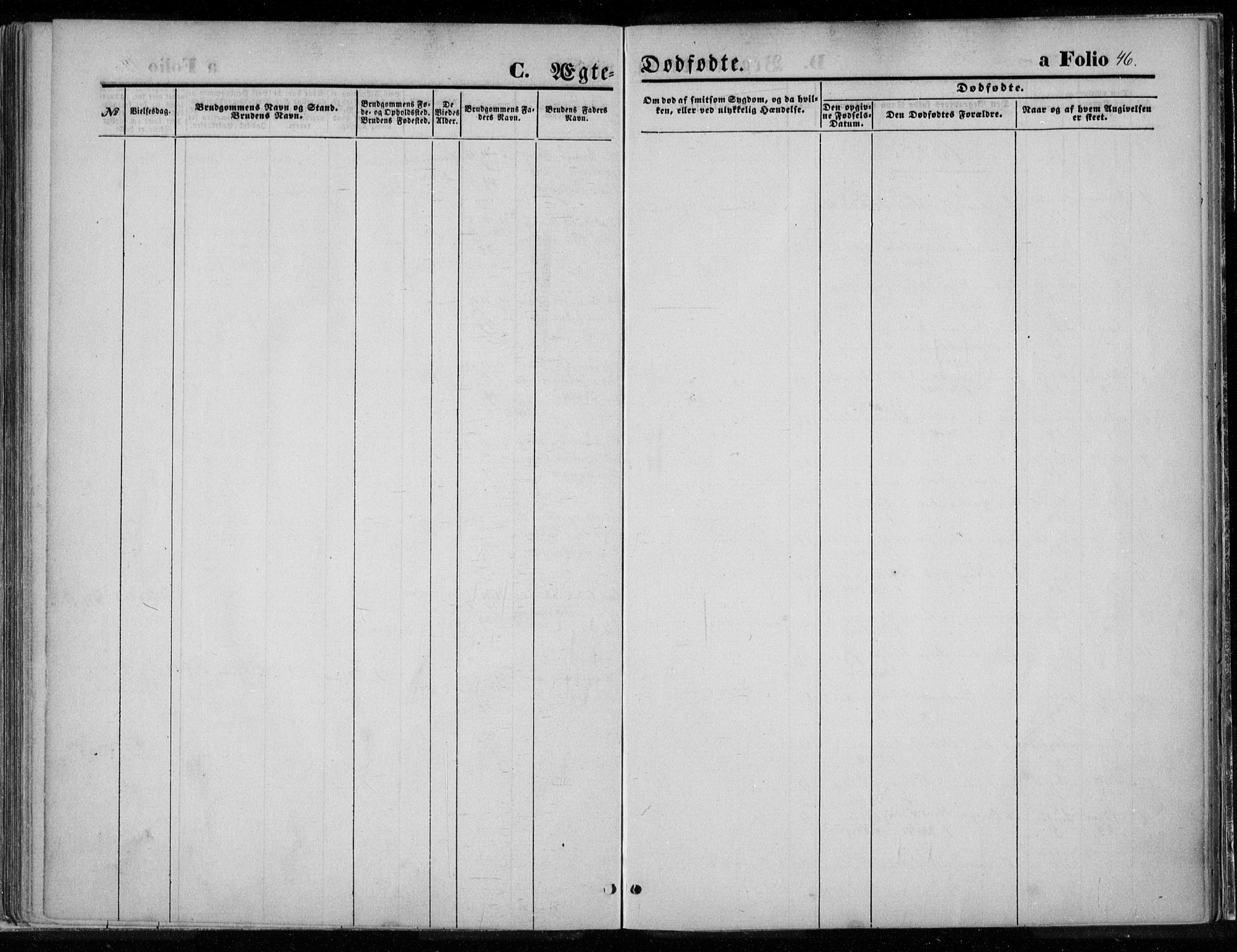 Ministerialprotokoller, klokkerbøker og fødselsregistre - Nord-Trøndelag, SAT/A-1458/720/L0187: Ministerialbok nr. 720A04 /2, 1875-1879, s. 46