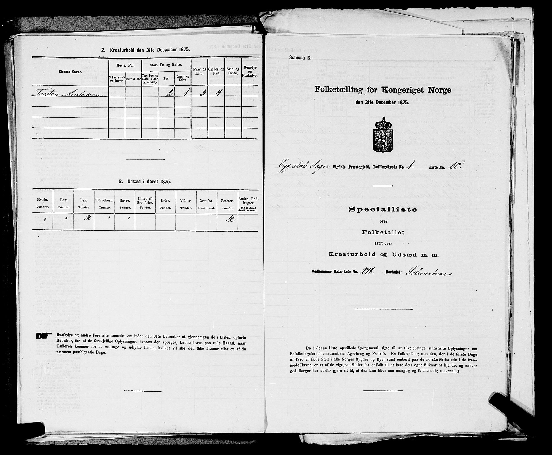 SAKO, Folketelling 1875 for 0621P Sigdal prestegjeld, 1875, s. 1992