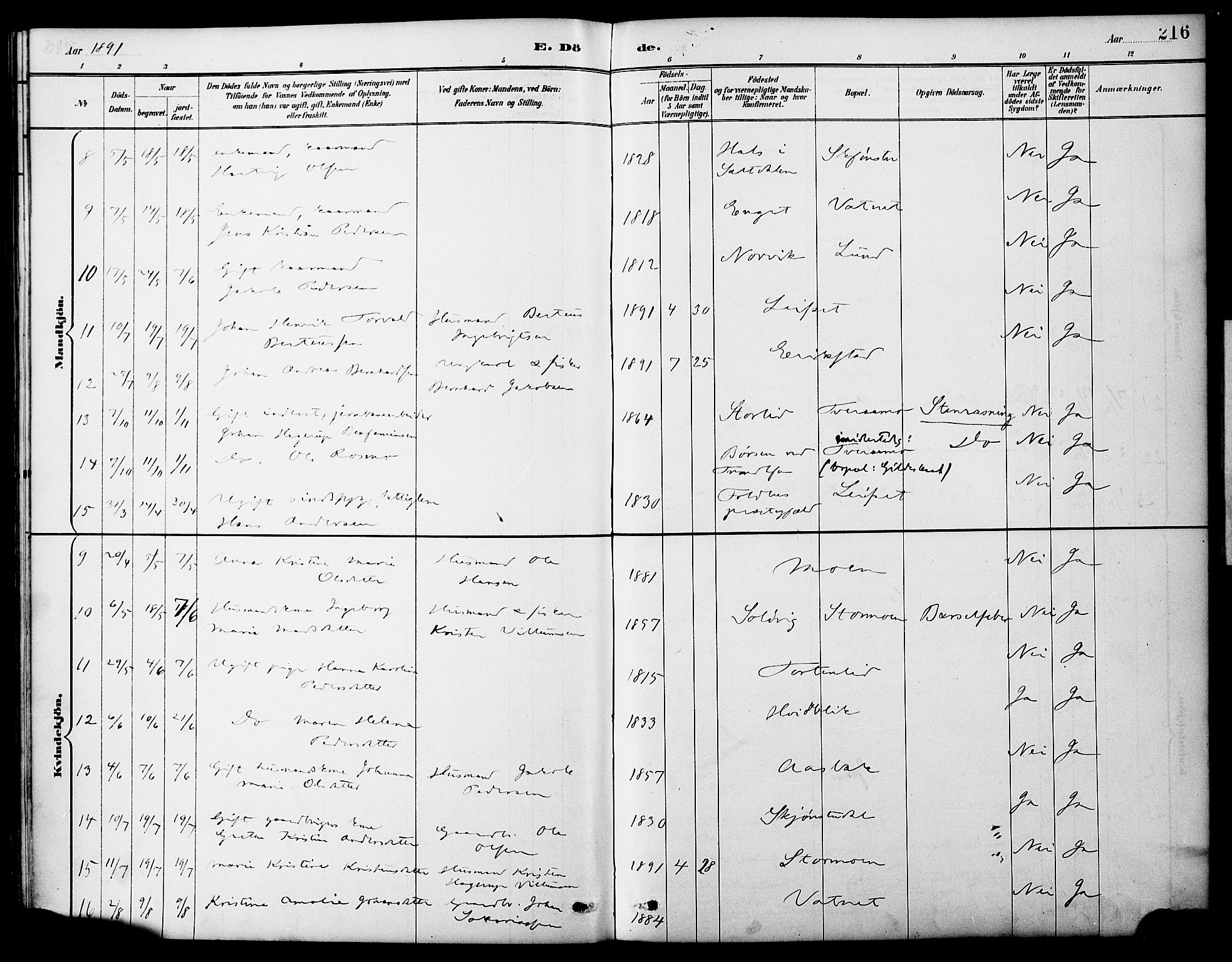 Ministerialprotokoller, klokkerbøker og fødselsregistre - Nordland, AV/SAT-A-1459/849/L0690: Ministerialbok nr. 849A02, 1890-1897, s. 216