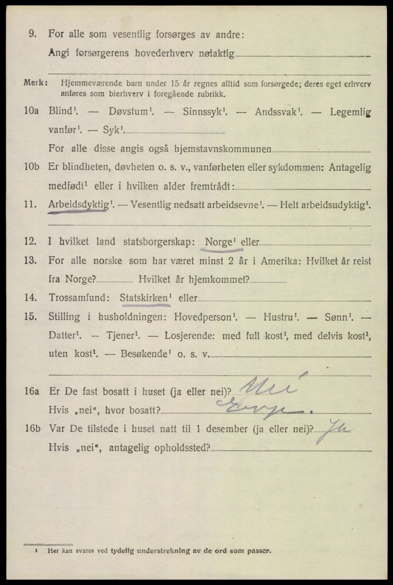 SAK, Folketelling 1920 for 0936 Hornnes herred, 1920, s. 2518