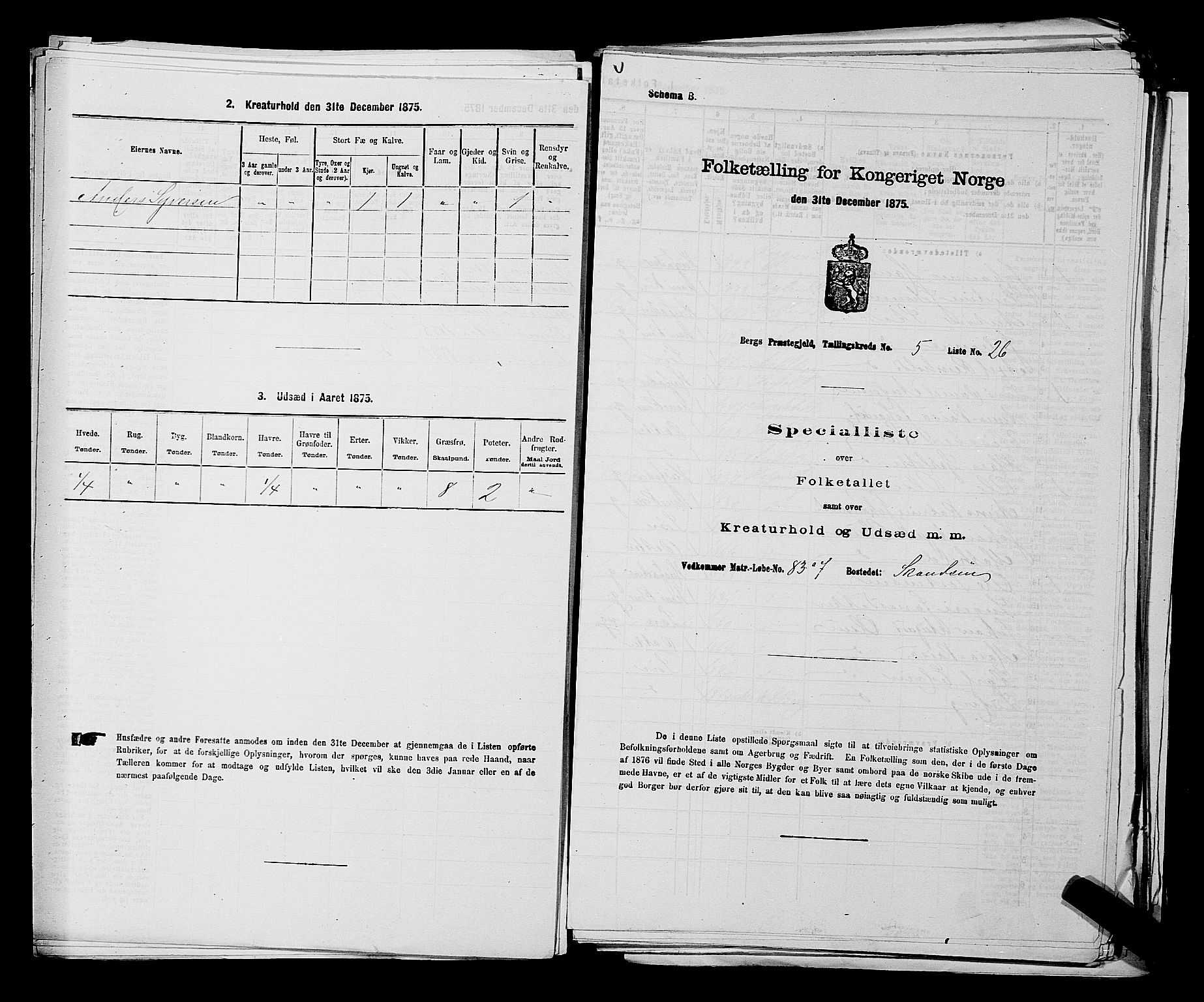 RA, Folketelling 1875 for 0116P Berg prestegjeld, 1875, s. 729