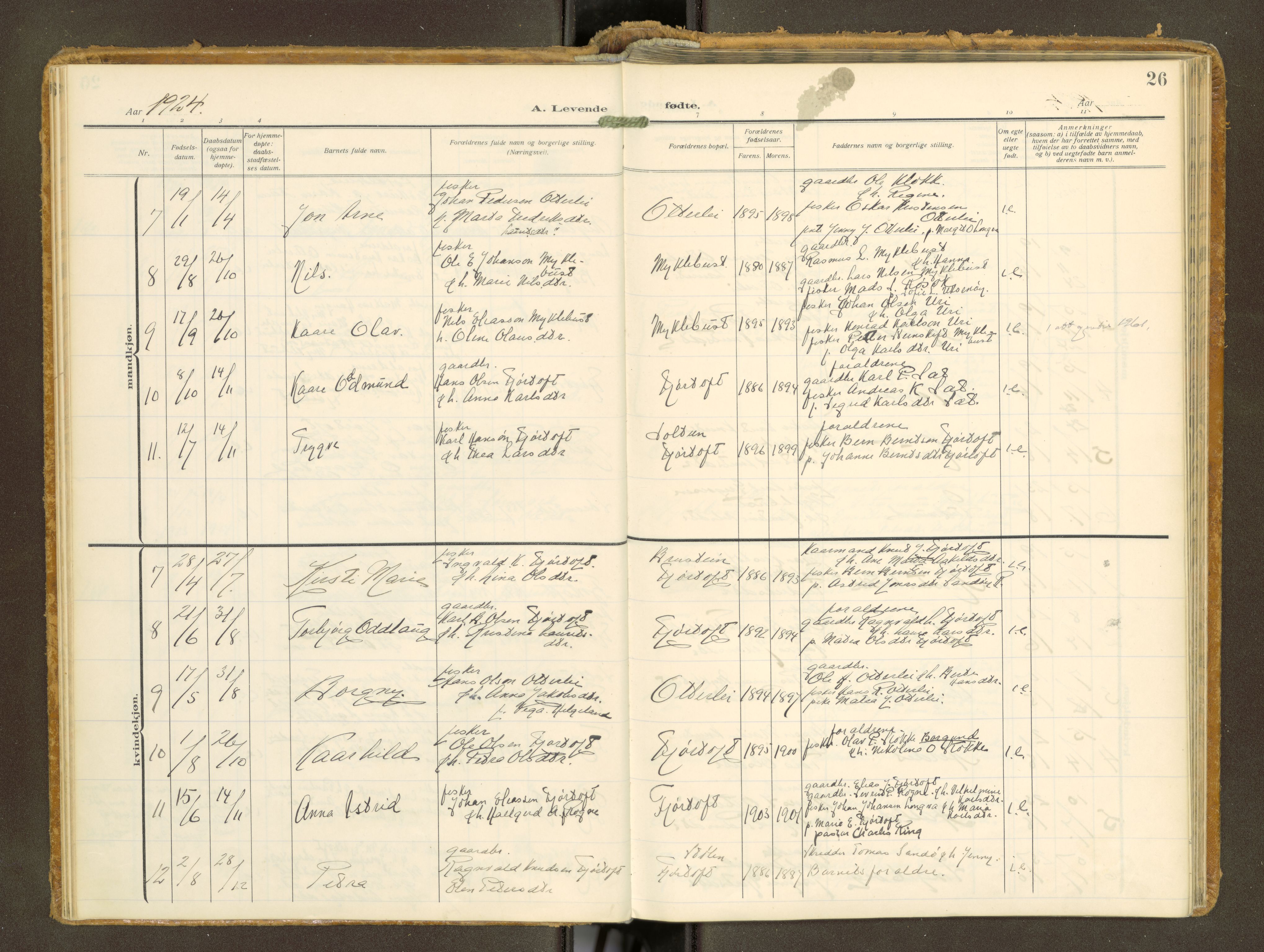 Ministerialprotokoller, klokkerbøker og fødselsregistre - Møre og Romsdal, AV/SAT-A-1454/538/L0528: Ministerialbok nr. 538A--, 1911-1935, s. 26