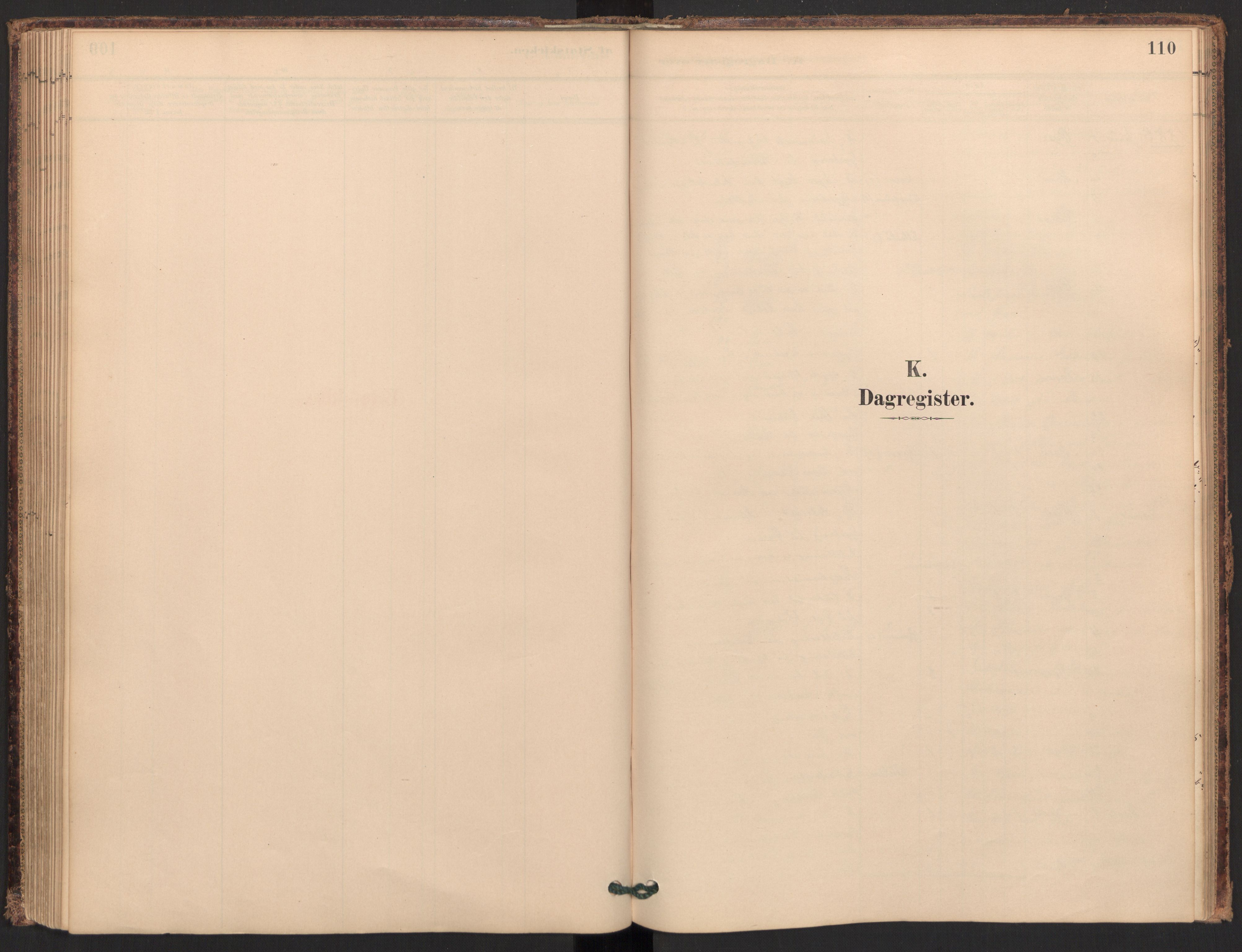 Ministerialprotokoller, klokkerbøker og fødselsregistre - Møre og Romsdal, AV/SAT-A-1454/595/L1047: Ministerialbok nr. 595A09, 1885-1900, s. 110