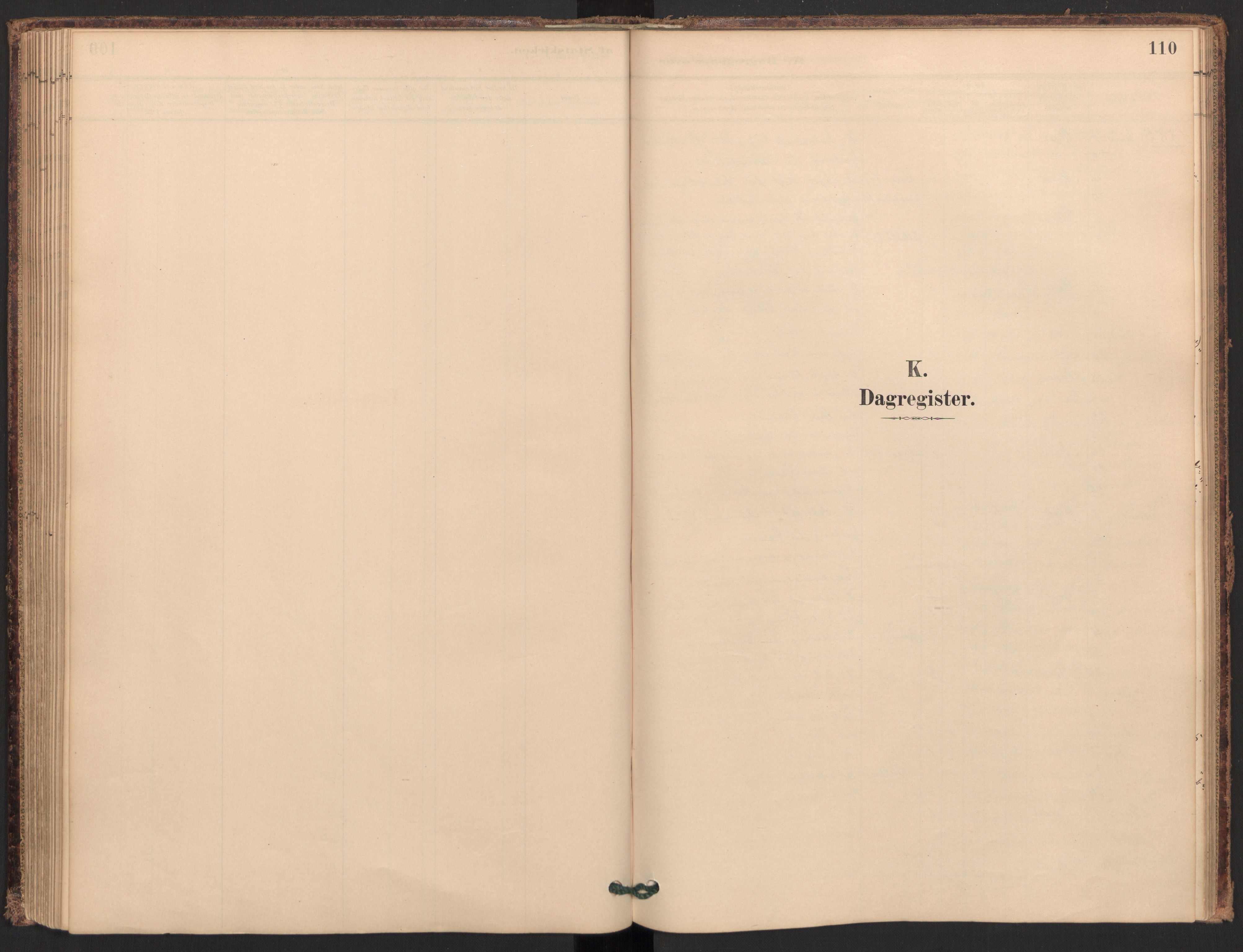 Ministerialprotokoller, klokkerbøker og fødselsregistre - Møre og Romsdal, SAT/A-1454/595/L1047: Ministerialbok nr. 595A09, 1885-1900, s. 110