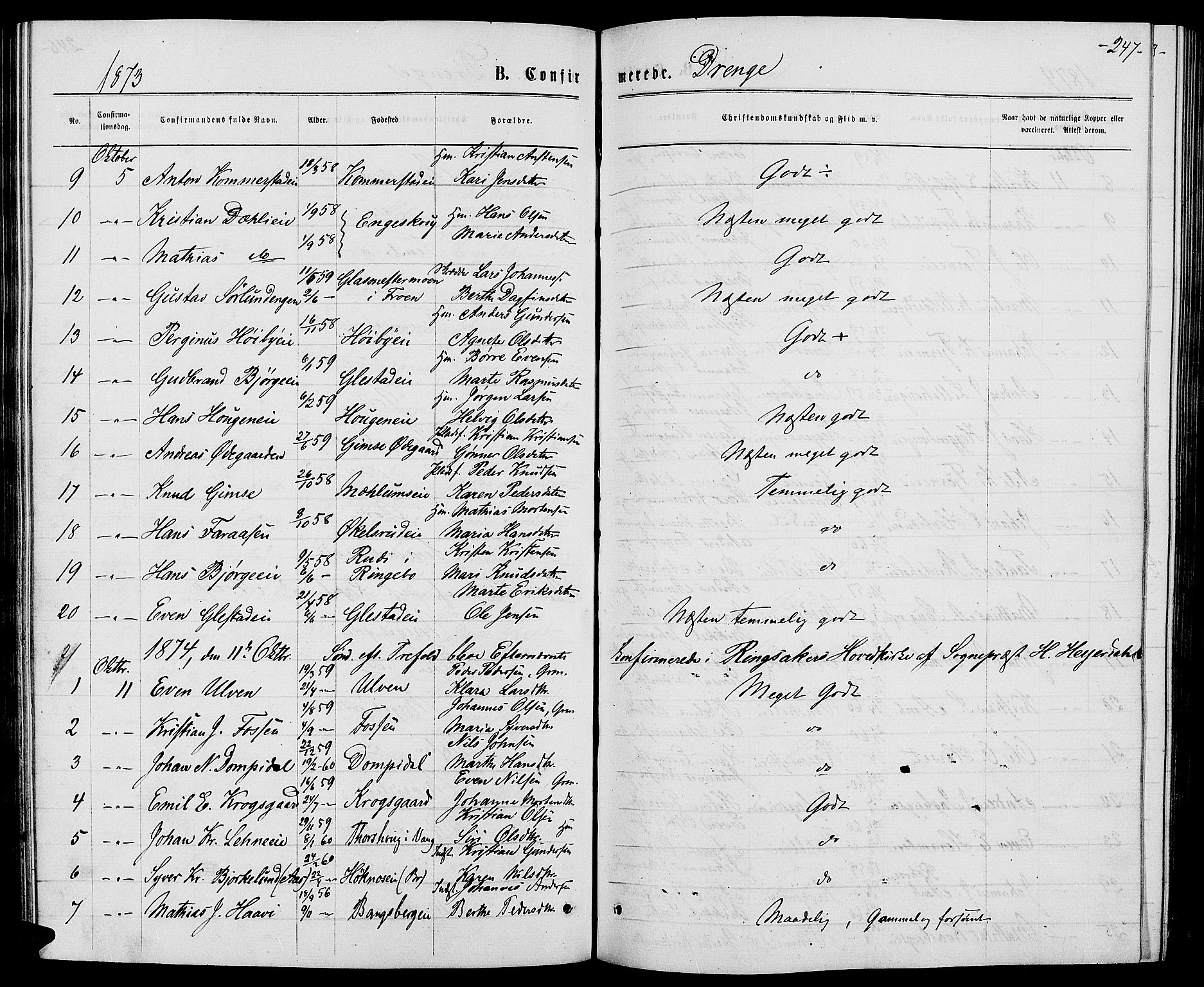 Ringsaker prestekontor, AV/SAH-PREST-014/L/La/L0008: Klokkerbok nr. 8, 1870-1878, s. 247