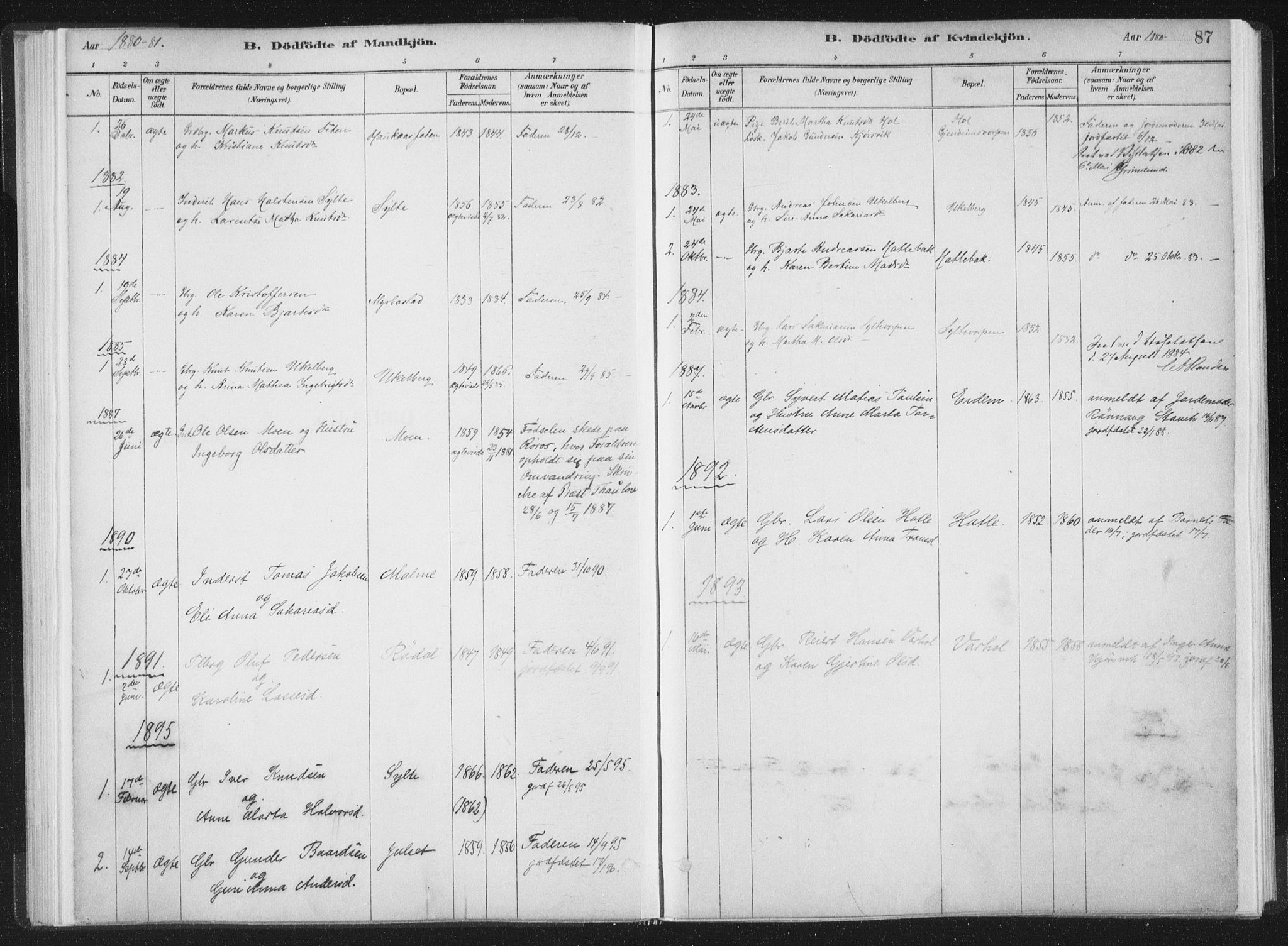 Ministerialprotokoller, klokkerbøker og fødselsregistre - Møre og Romsdal, SAT/A-1454/564/L0740: Ministerialbok nr. 564A01, 1880-1899, s. 87