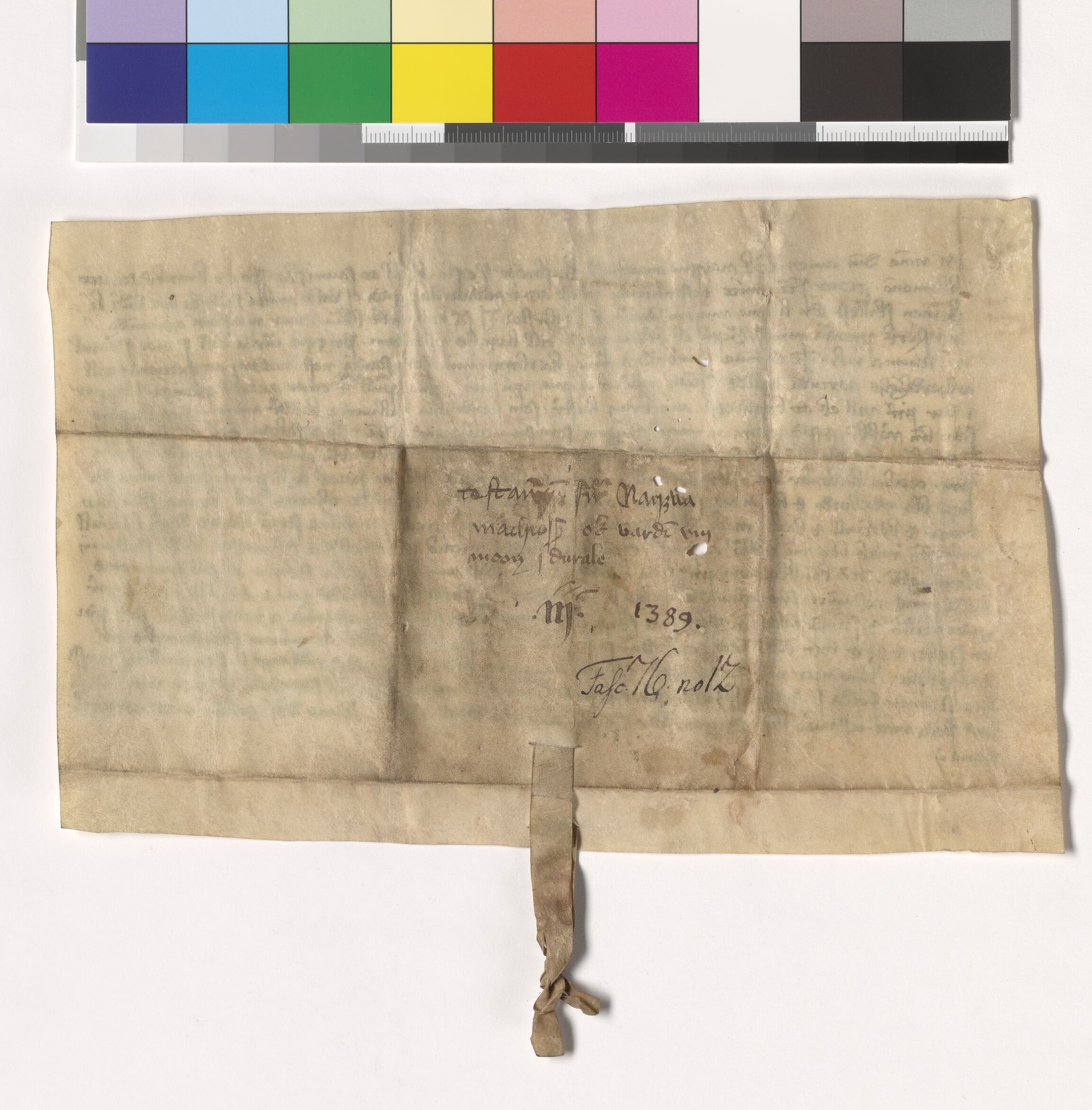 Riksarkivets diplomsamling, AV/RA-EA-5965/F05/L0187: NRA AM fasc. 75 nr. 20 - fasc. 76 nr. 12, 1388-1389, s. 13