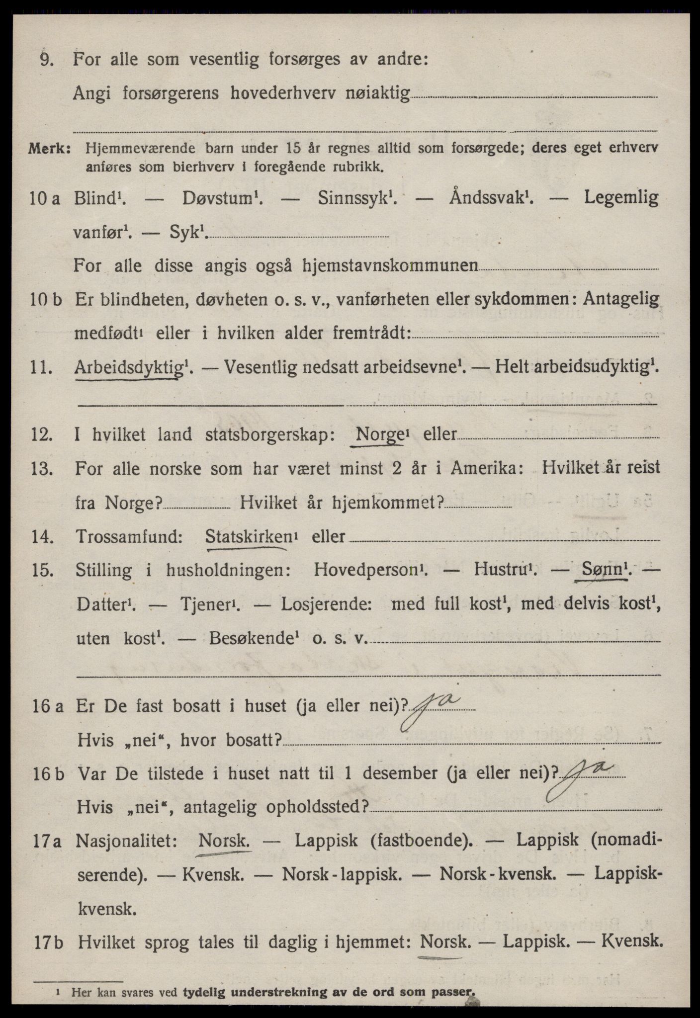 SAT, Folketelling 1920 for 1660 Strinda herred, 1920, s. 17095