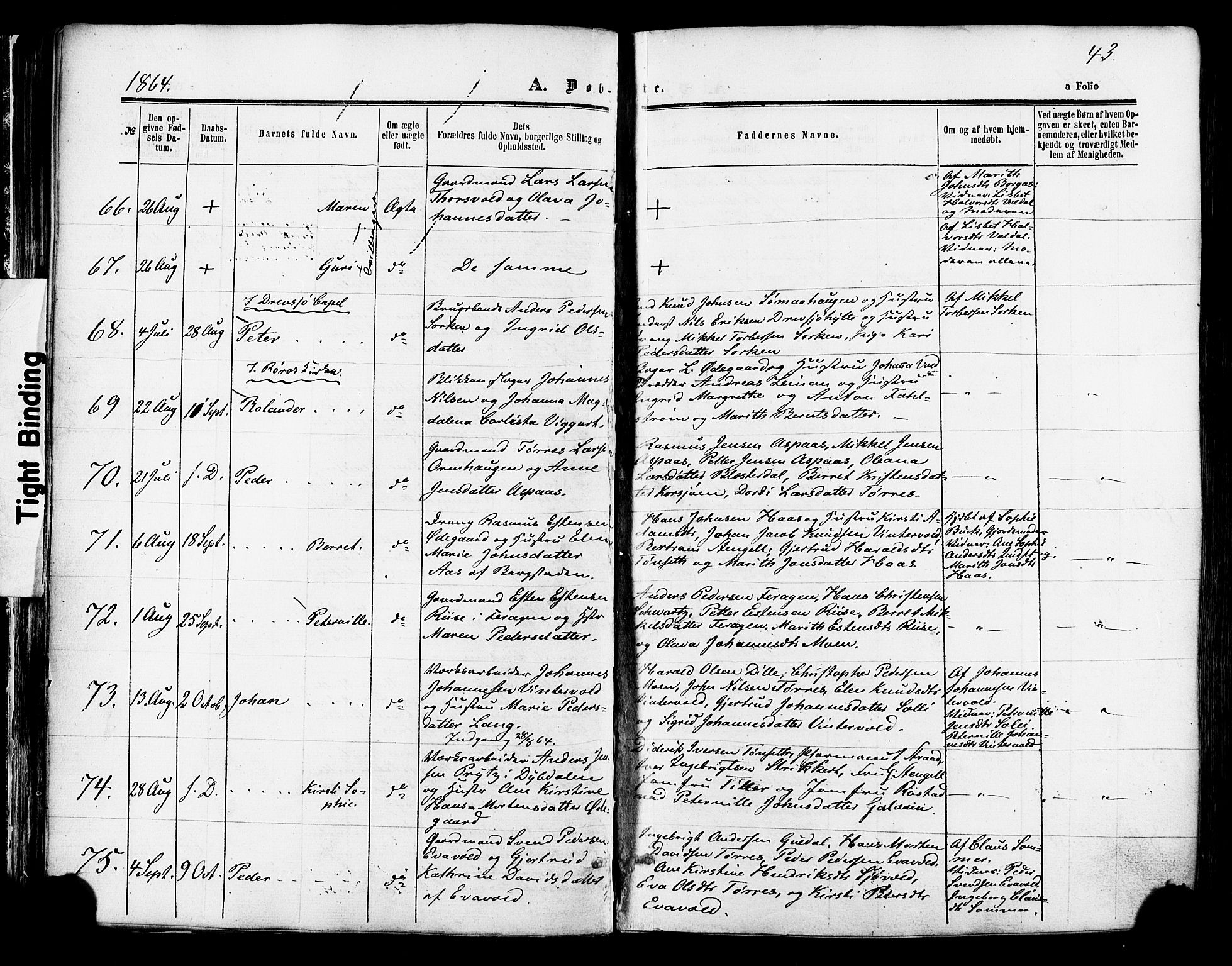 Ministerialprotokoller, klokkerbøker og fødselsregistre - Sør-Trøndelag, AV/SAT-A-1456/681/L0932: Ministerialbok nr. 681A10, 1860-1878, s. 43