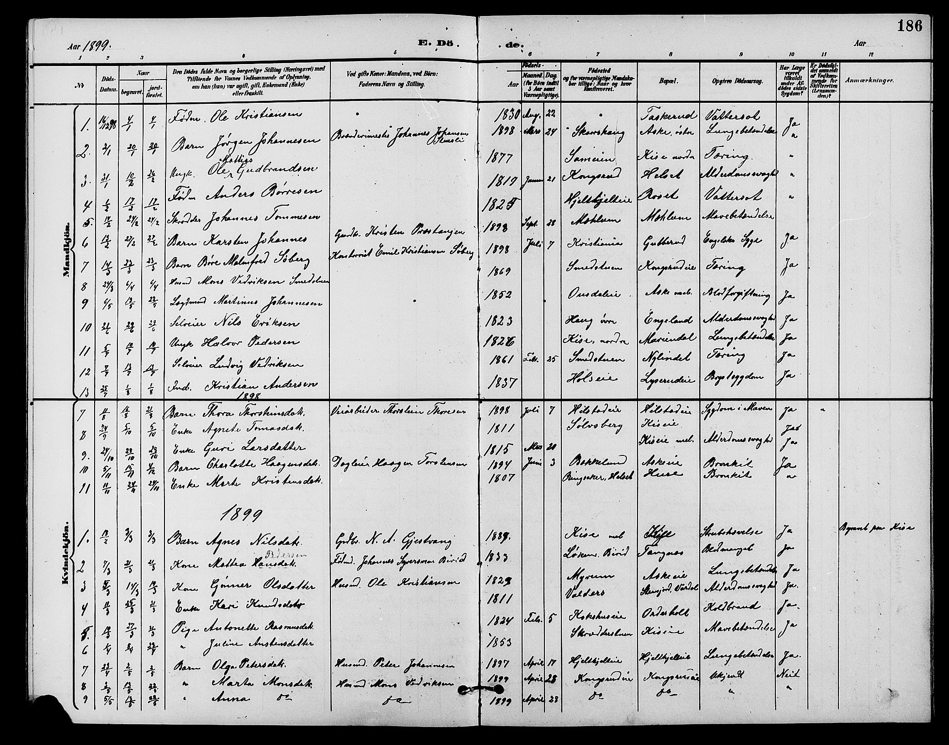 Nes prestekontor, Hedmark, SAH/PREST-020/L/La/L0007: Klokkerbok nr. 7, 1892-1912, s. 186