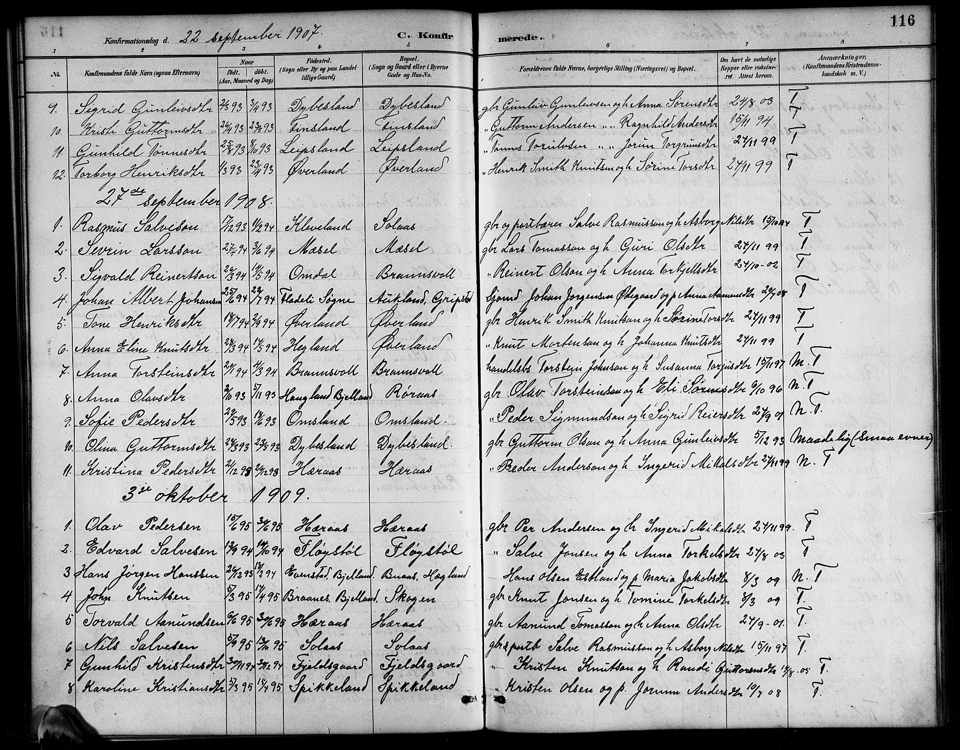 Bjelland sokneprestkontor, AV/SAK-1111-0005/F/Fb/Fbb/L0005: Klokkerbok nr. B 5, 1887-1918, s. 116
