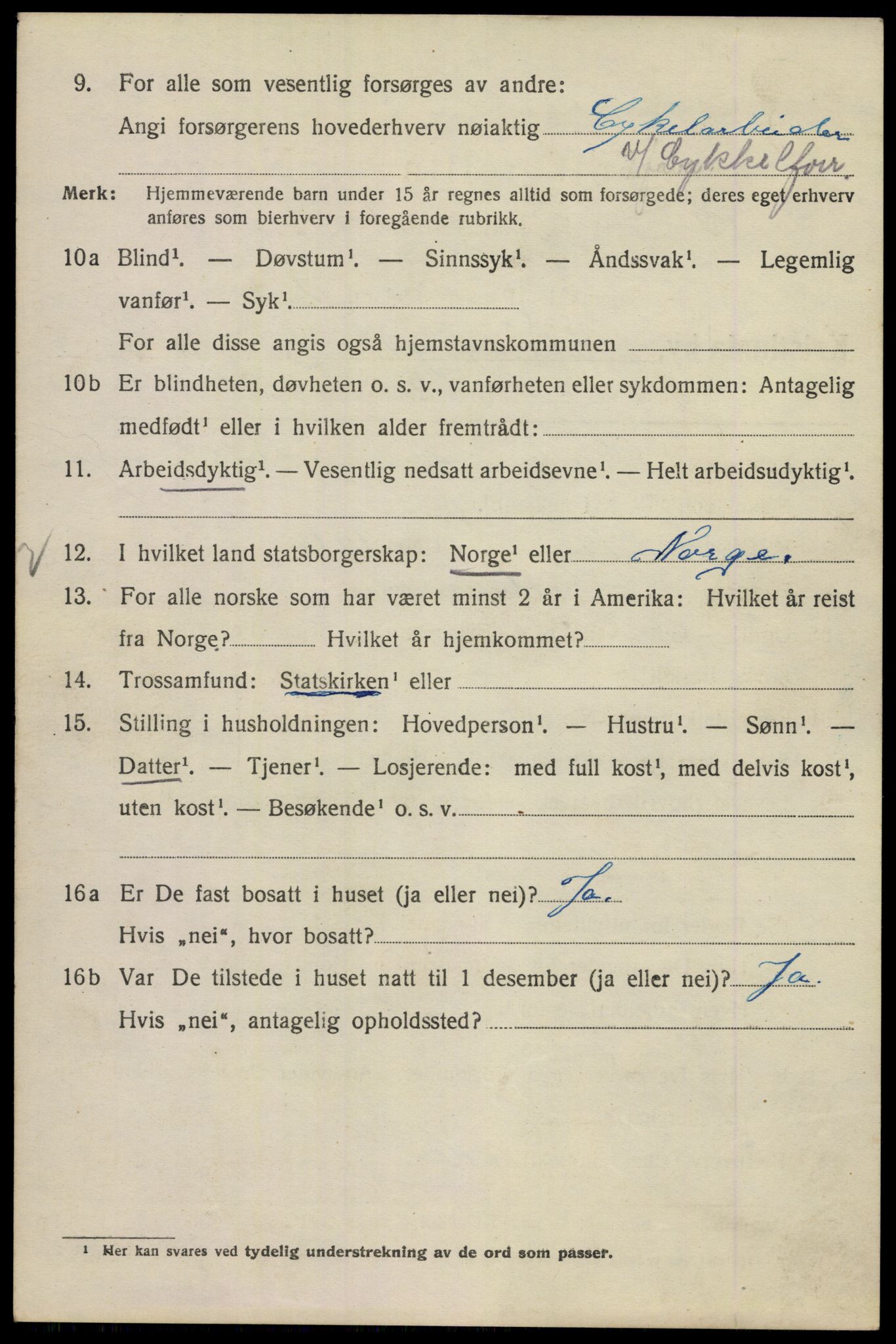 SAO, Folketelling 1920 for 0301 Kristiania kjøpstad, 1920, s. 462406