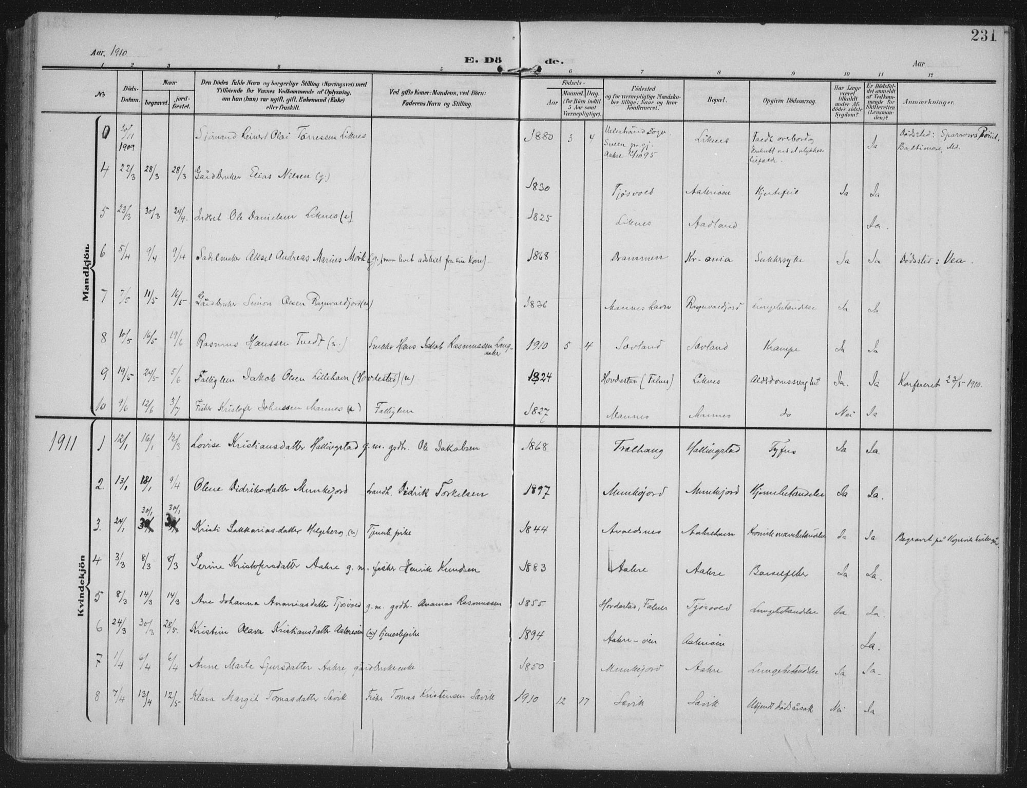 Kopervik sokneprestkontor, SAST/A-101850/H/Ha/Haa/L0005: Ministerialbok nr. A 5, 1906-1924, s. 231