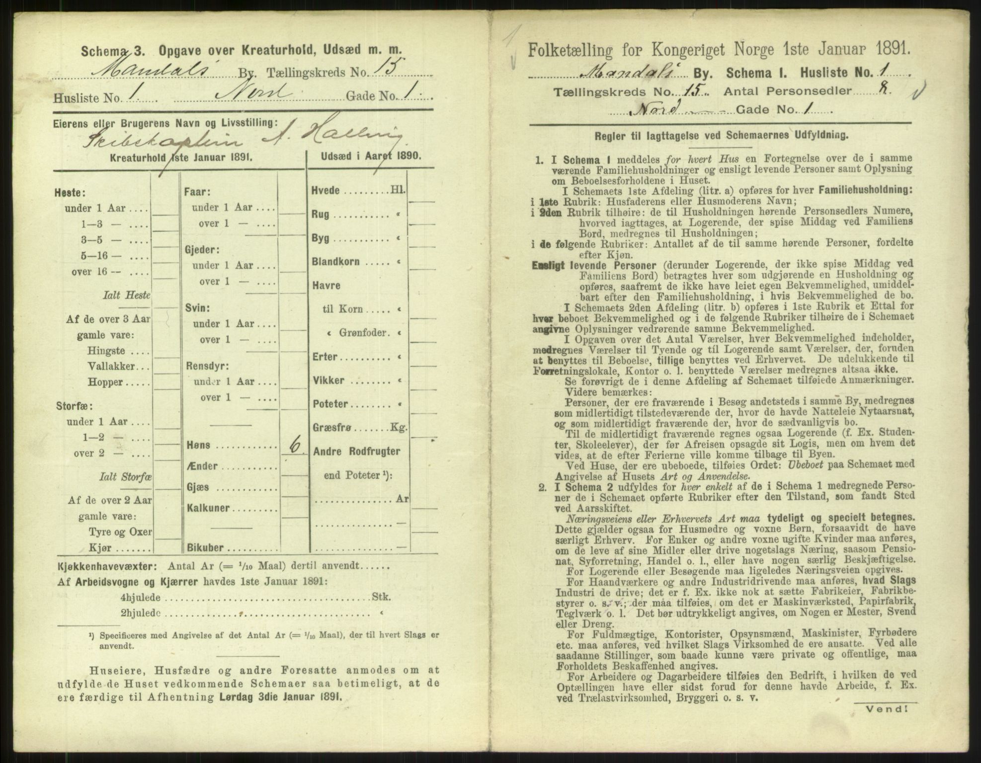 RA, Folketelling 1891 for 1002 Mandal ladested, 1891, s. 691