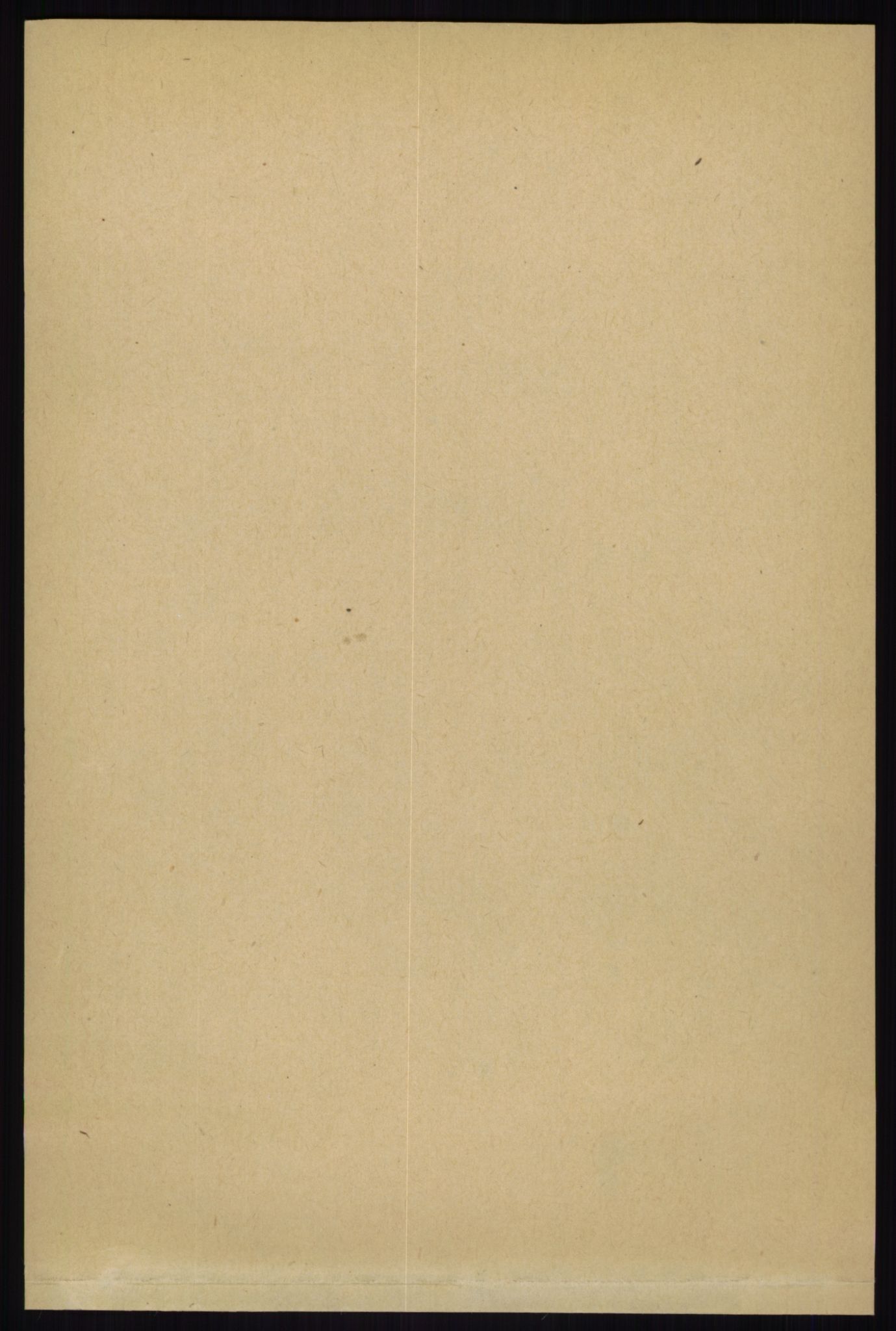 RA, Folketelling 1891 for 0432 Ytre Rendal herred, 1891, s. 444