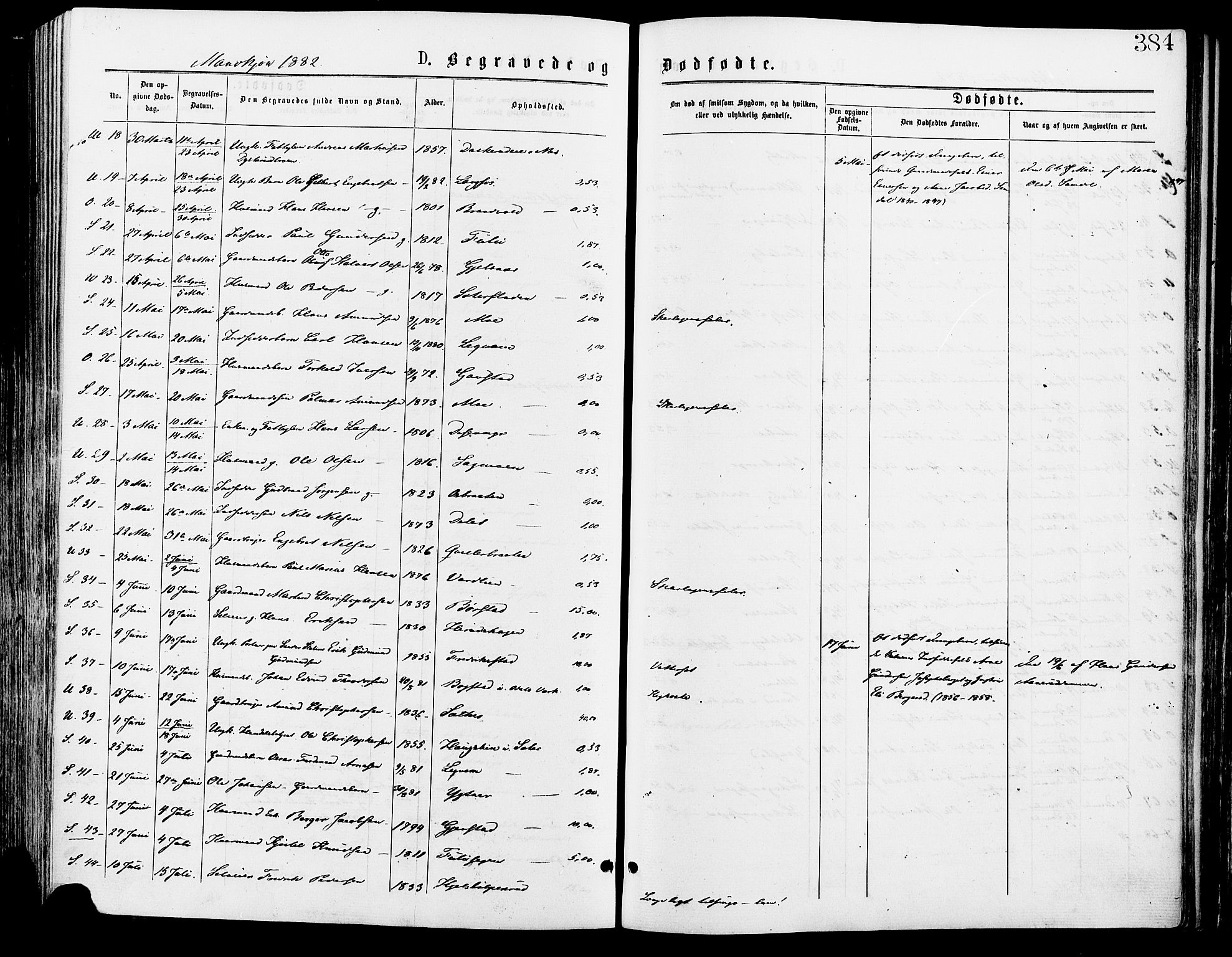 Sør-Odal prestekontor, AV/SAH-PREST-030/H/Ha/Haa/L0005: Ministerialbok nr. 5, 1876-1885, s. 384