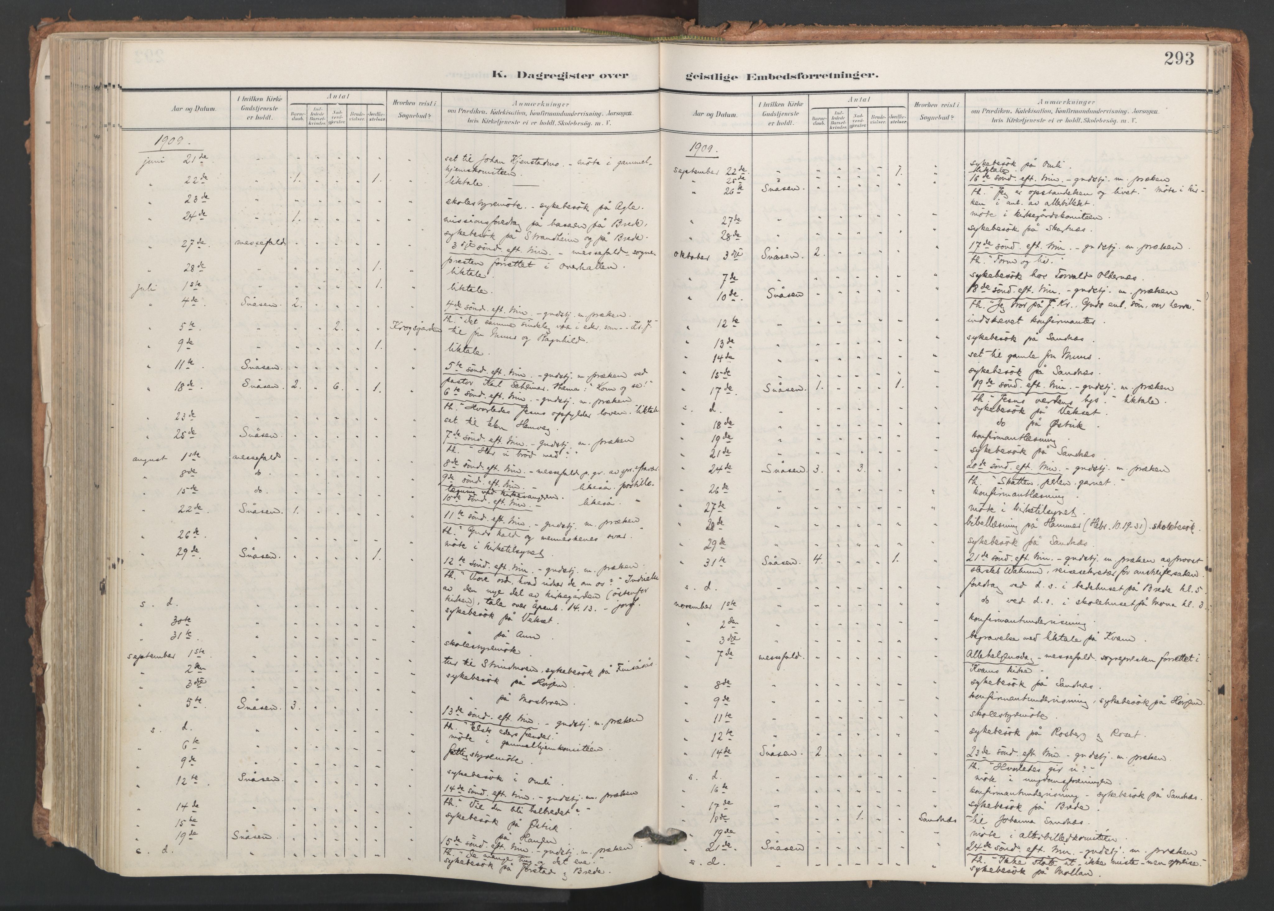 Ministerialprotokoller, klokkerbøker og fødselsregistre - Nord-Trøndelag, AV/SAT-A-1458/749/L0477: Ministerialbok nr. 749A11, 1902-1927, s. 293