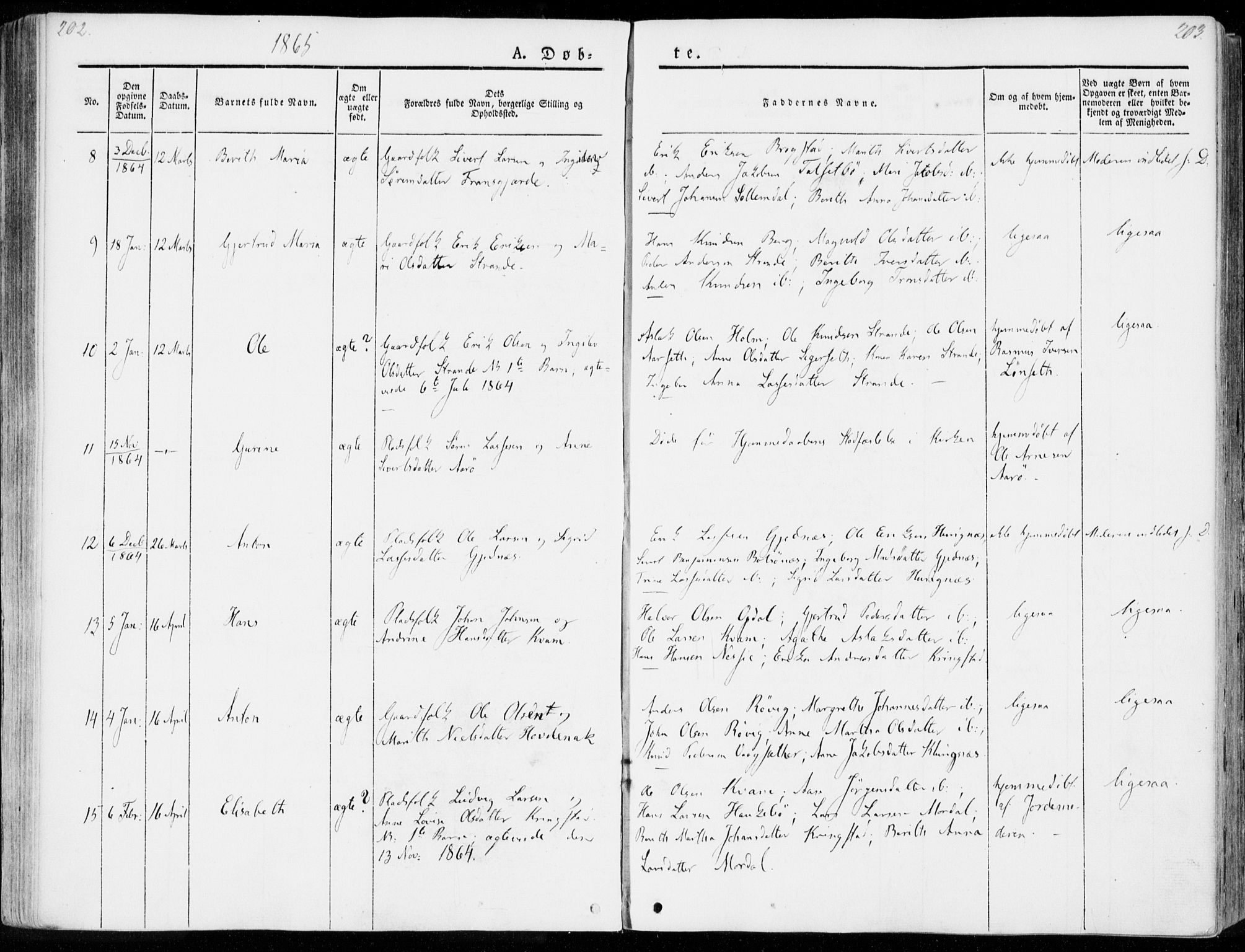 Ministerialprotokoller, klokkerbøker og fødselsregistre - Møre og Romsdal, AV/SAT-A-1454/555/L0653: Ministerialbok nr. 555A04, 1843-1869, s. 202-203