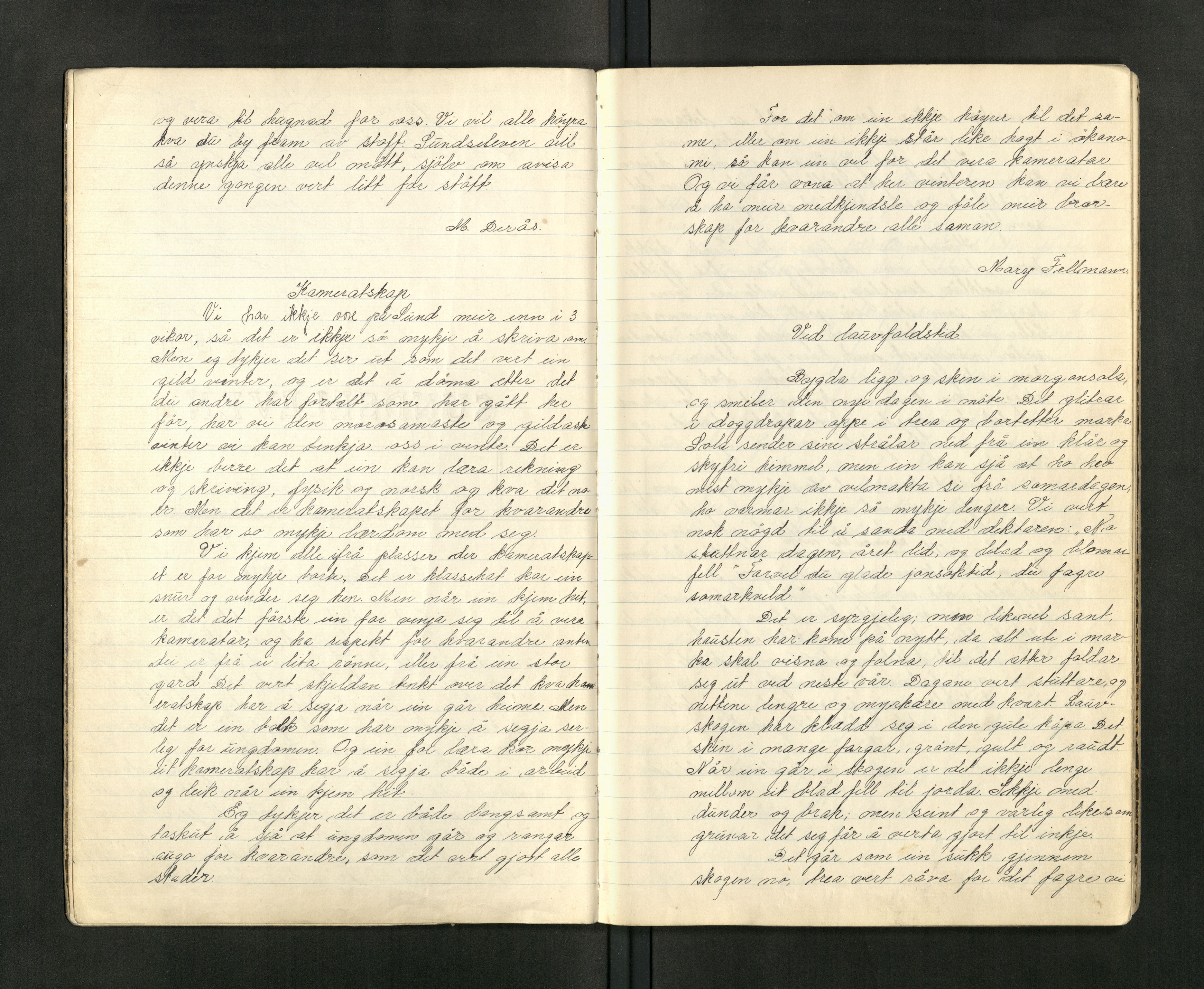 Sund folkehøgskole (Inderøy), TIKA/PA-1166/Y/Ya/L0017: Elevavisa "Sundseleven", 1938-1940
