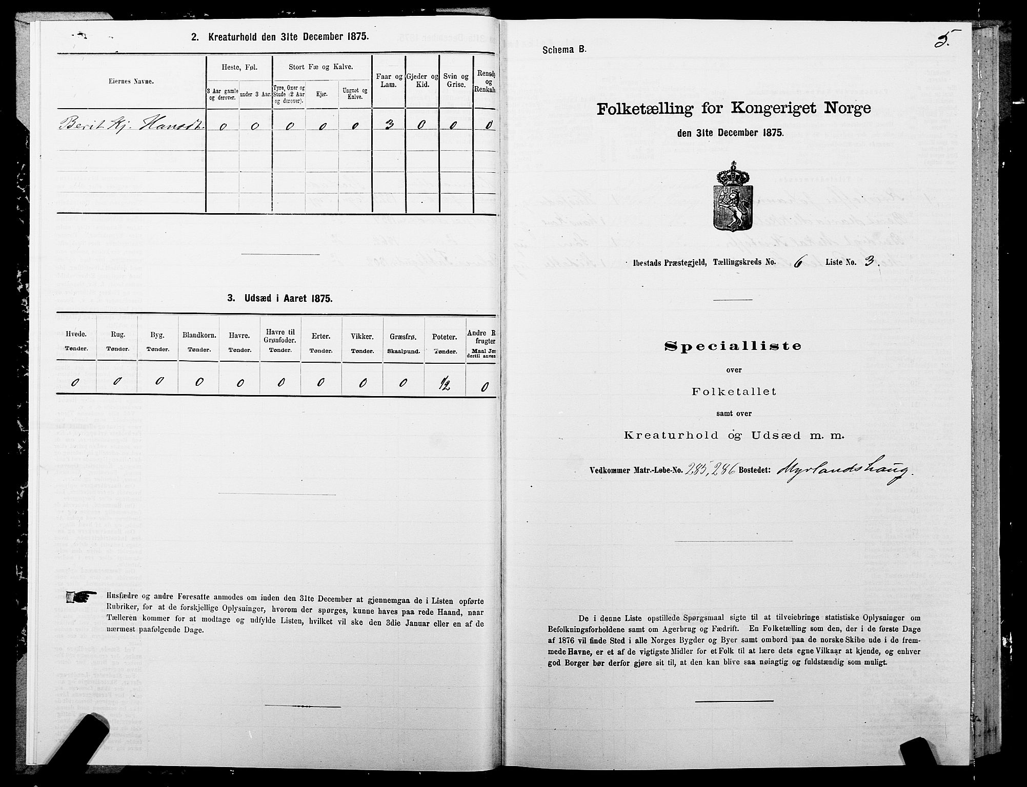 SATØ, Folketelling 1875 for 1917P Ibestad prestegjeld, 1875, s. 4005