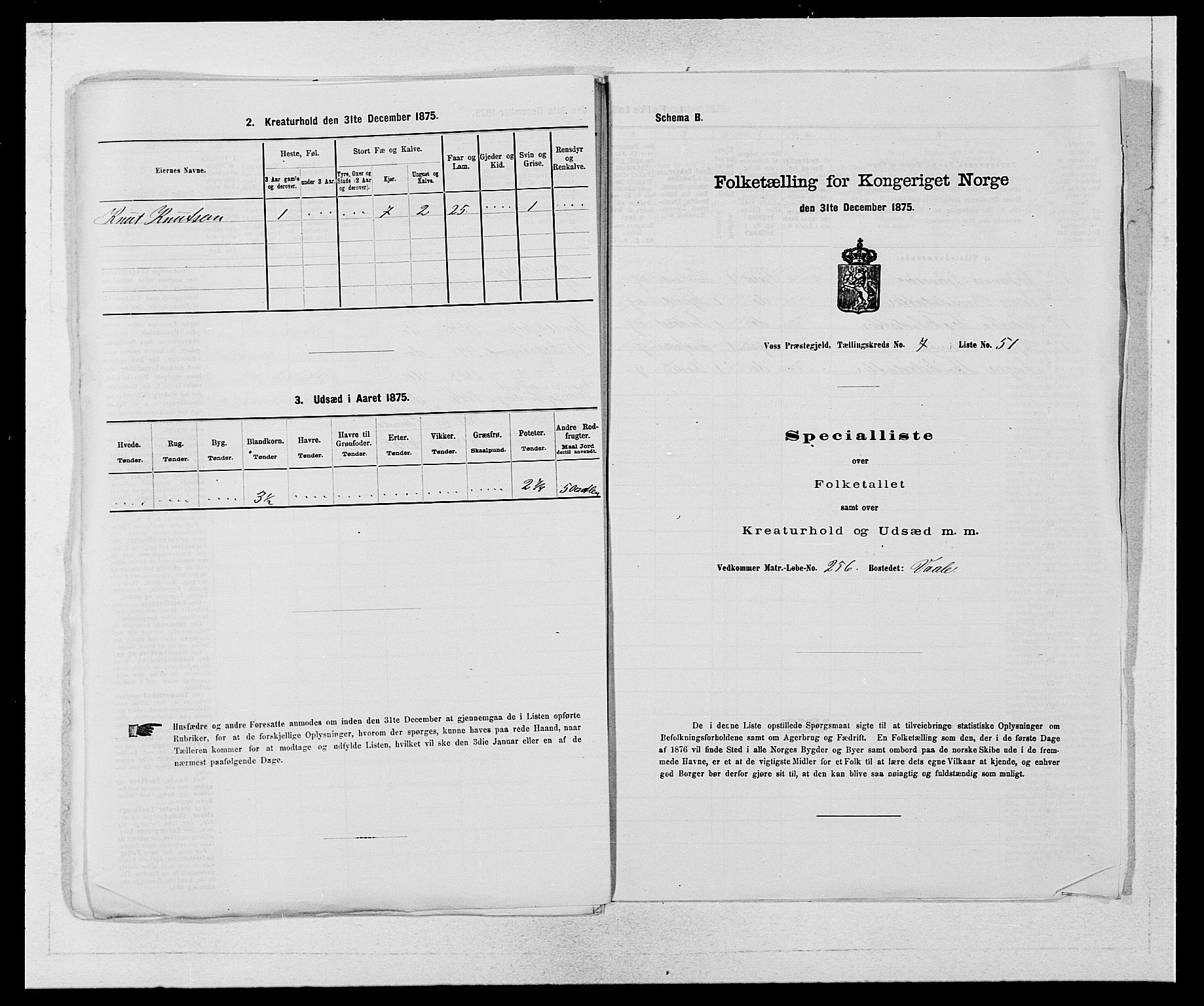 SAB, Folketelling 1875 for 1235P Voss prestegjeld, 1875, s. 901