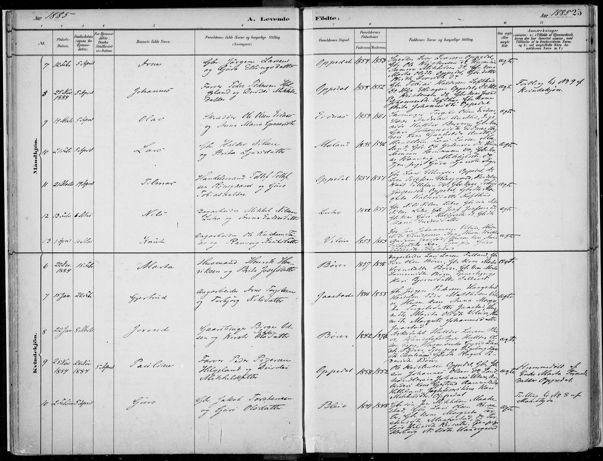 Ullensvang sokneprestembete, AV/SAB-A-78701/H/Haa: Ministerialbok nr. B  1, 1882-1918, s. 25