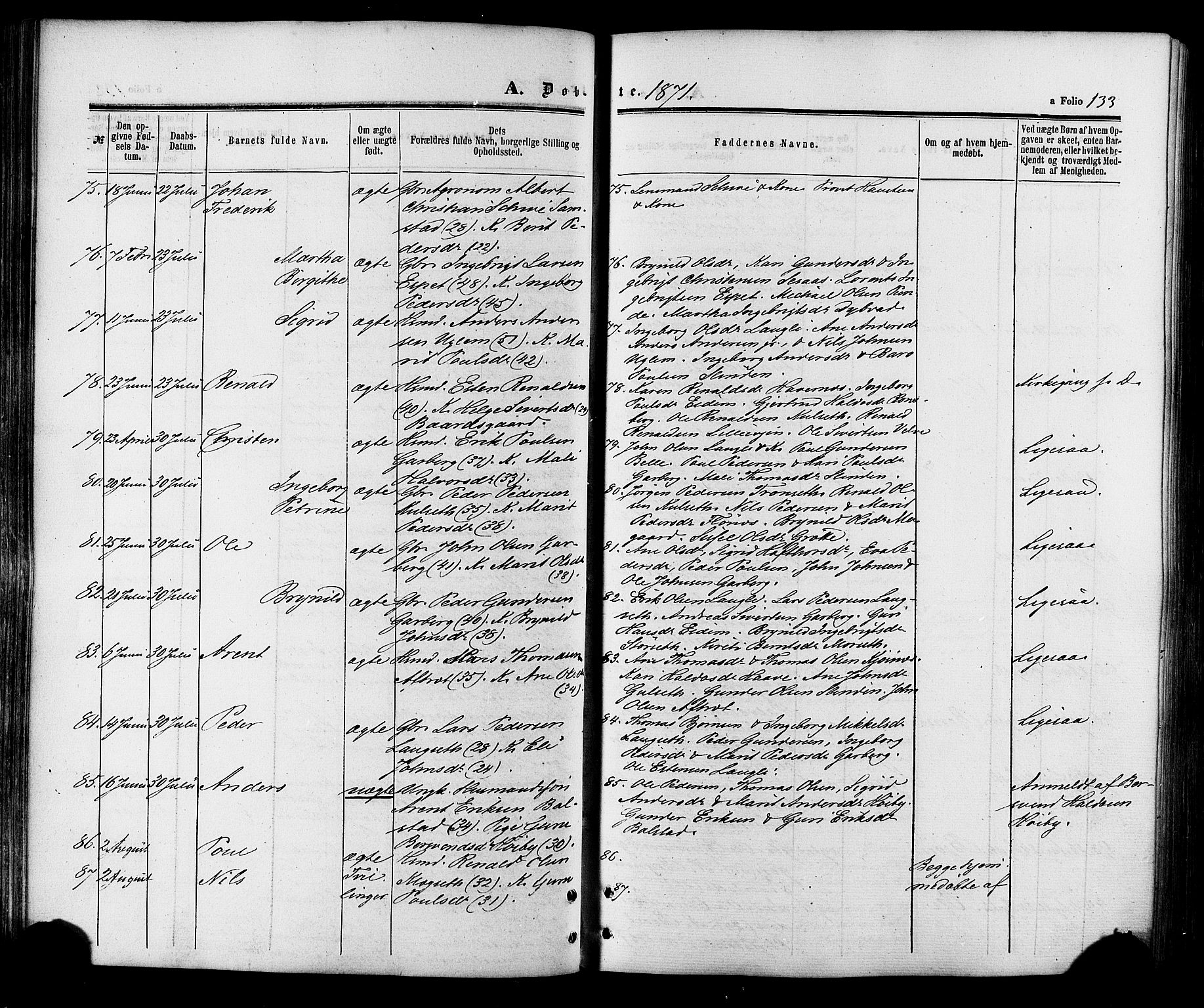 Ministerialprotokoller, klokkerbøker og fødselsregistre - Sør-Trøndelag, SAT/A-1456/695/L1147: Ministerialbok nr. 695A07, 1860-1877, s. 133