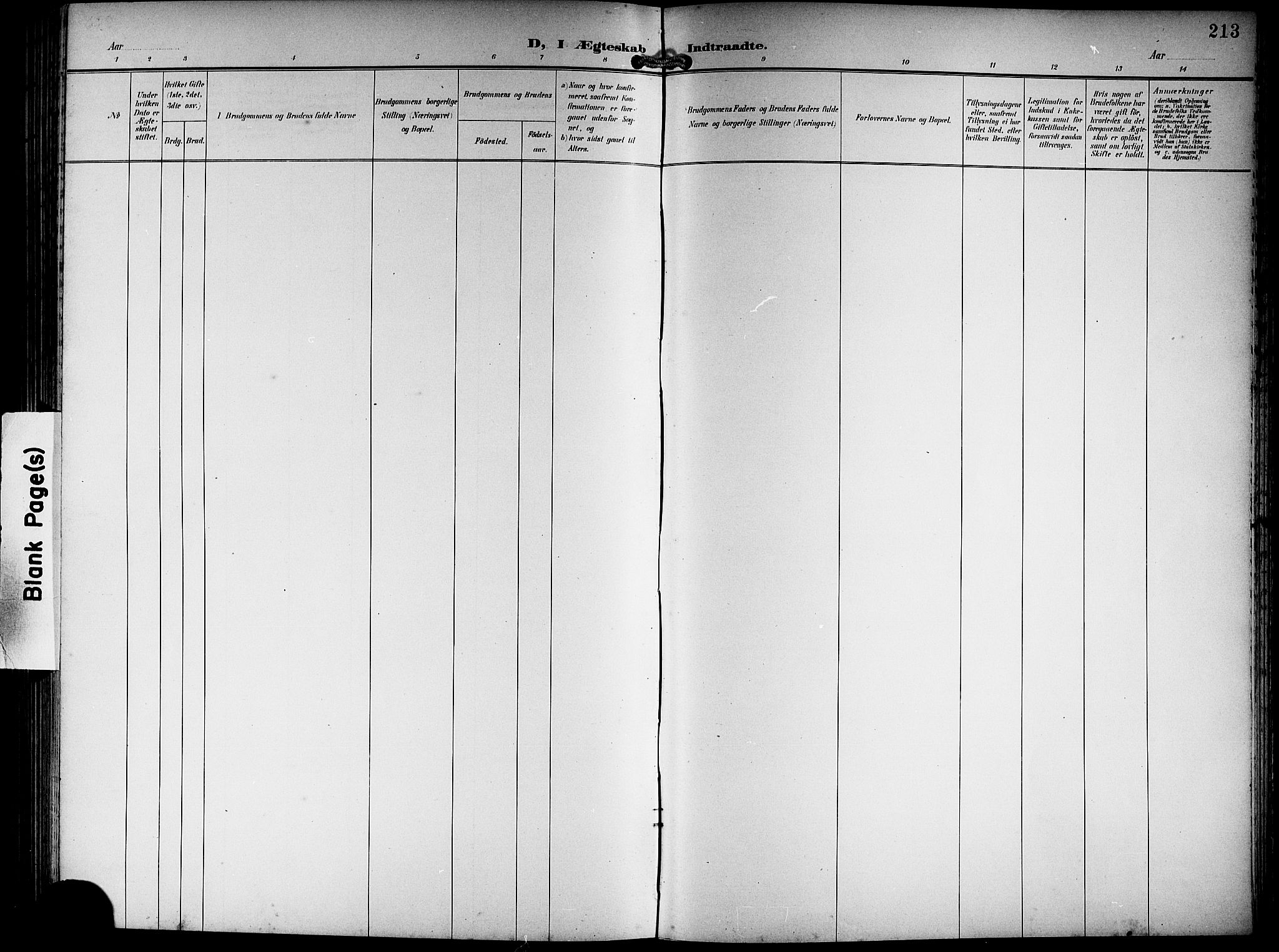 Hamre sokneprestembete, SAB/A-75501/H/Ha/Hab: Klokkerbok nr. B 4, 1898-1919, s. 213