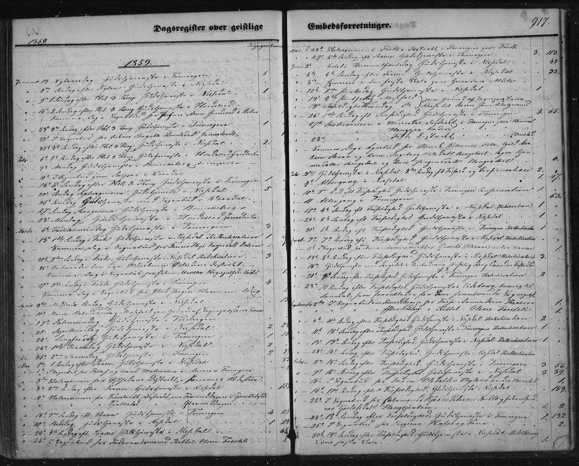 Nissedal kirkebøker, AV/SAKO-A-288/F/Fa/L0003: Ministerialbok nr. I 3, 1846-1870, s. 916-917